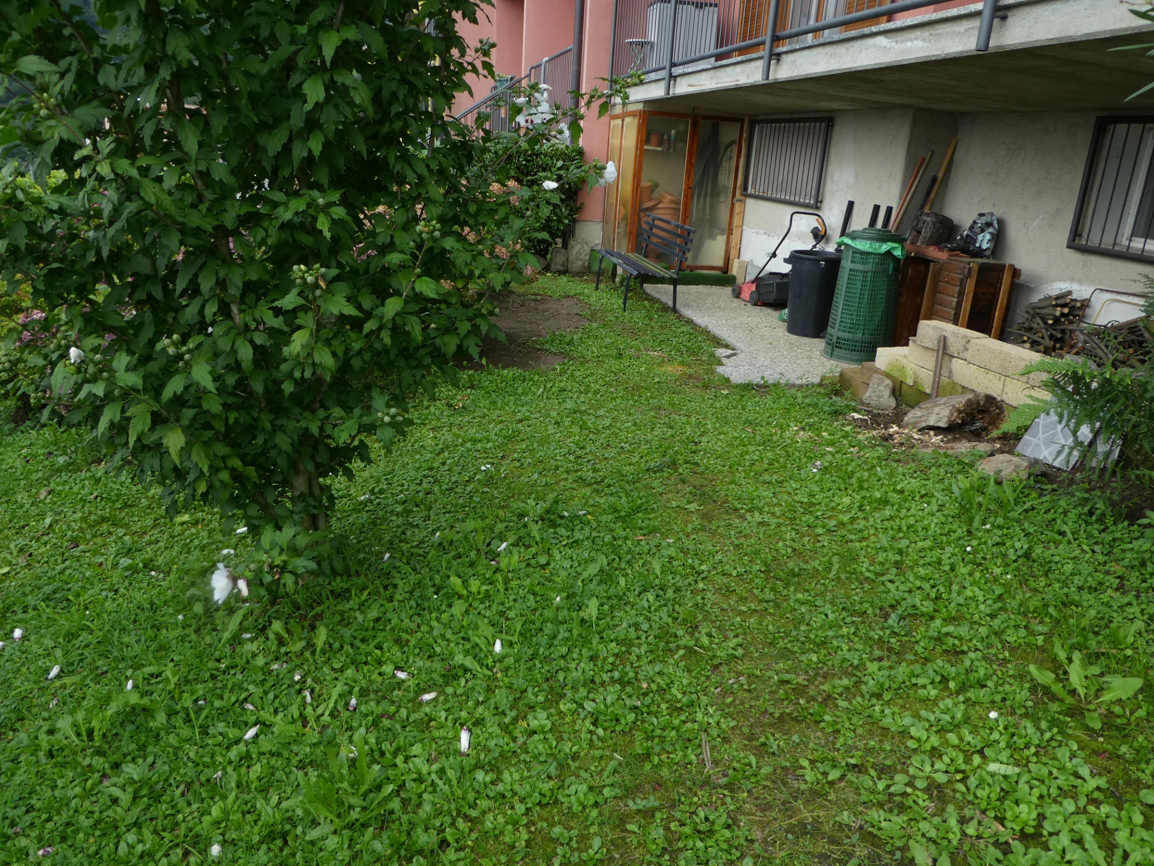 Foto10