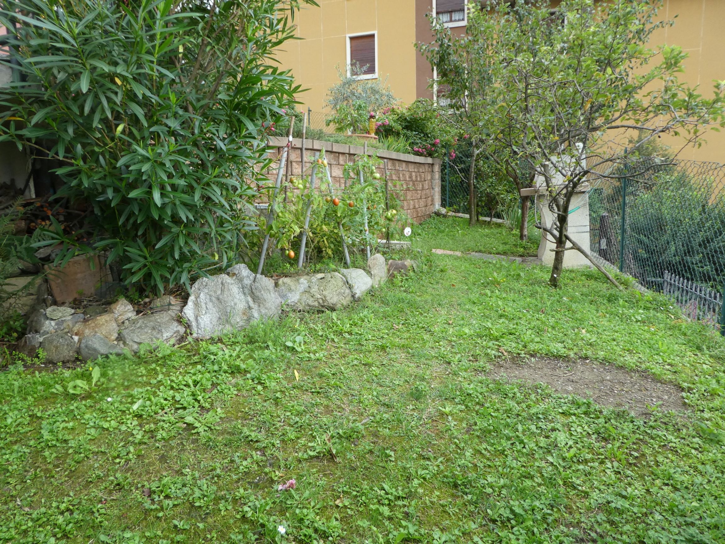 Foto21