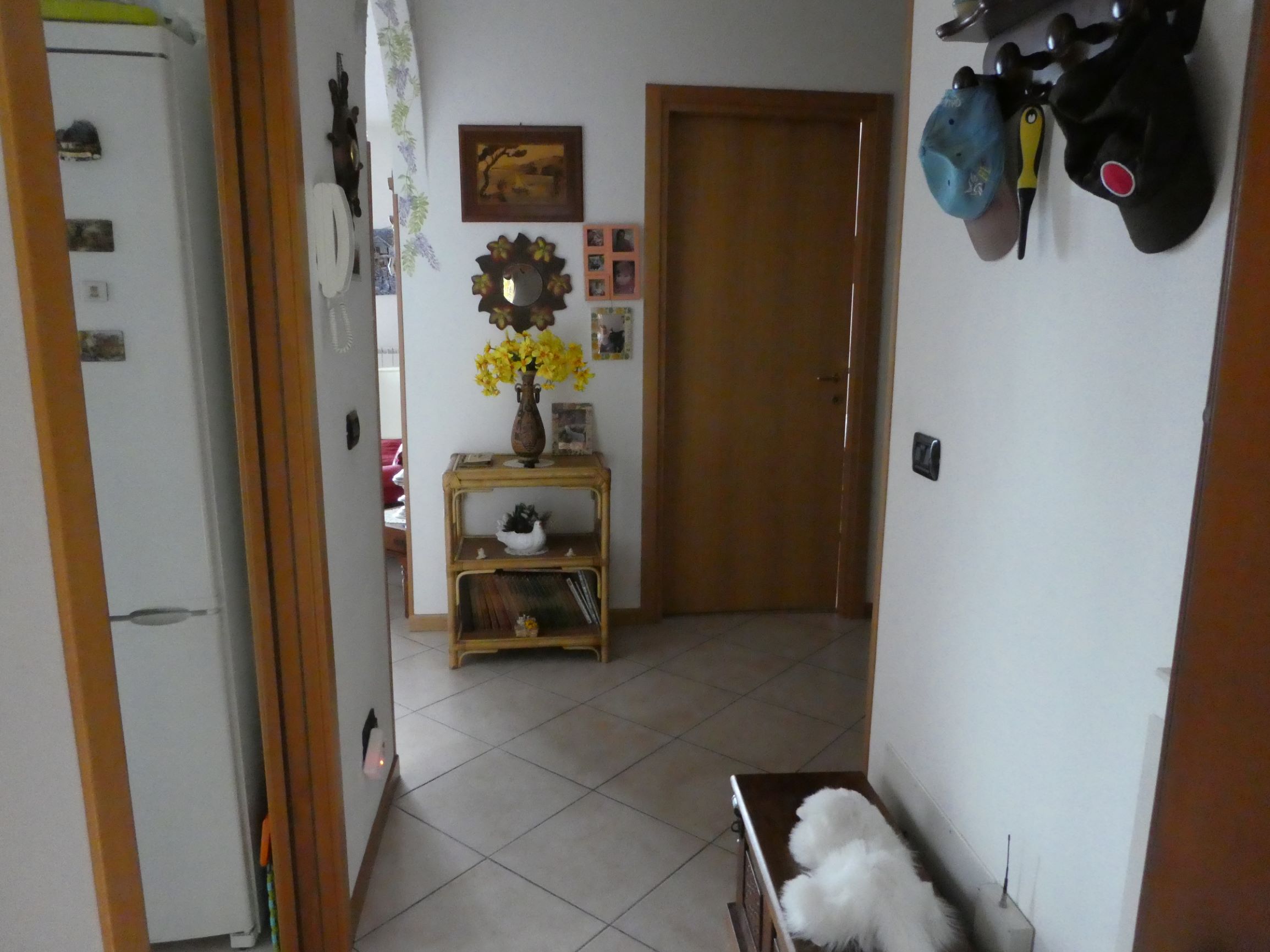 Foto14