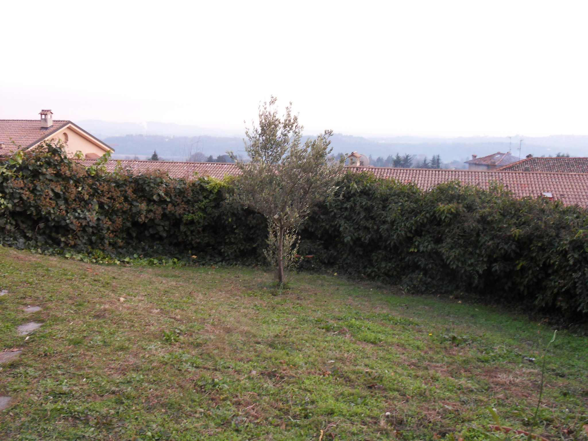 Foto4