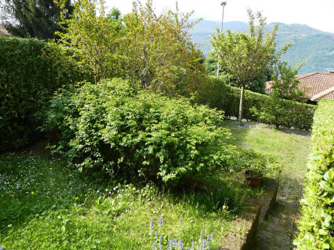 Foto10