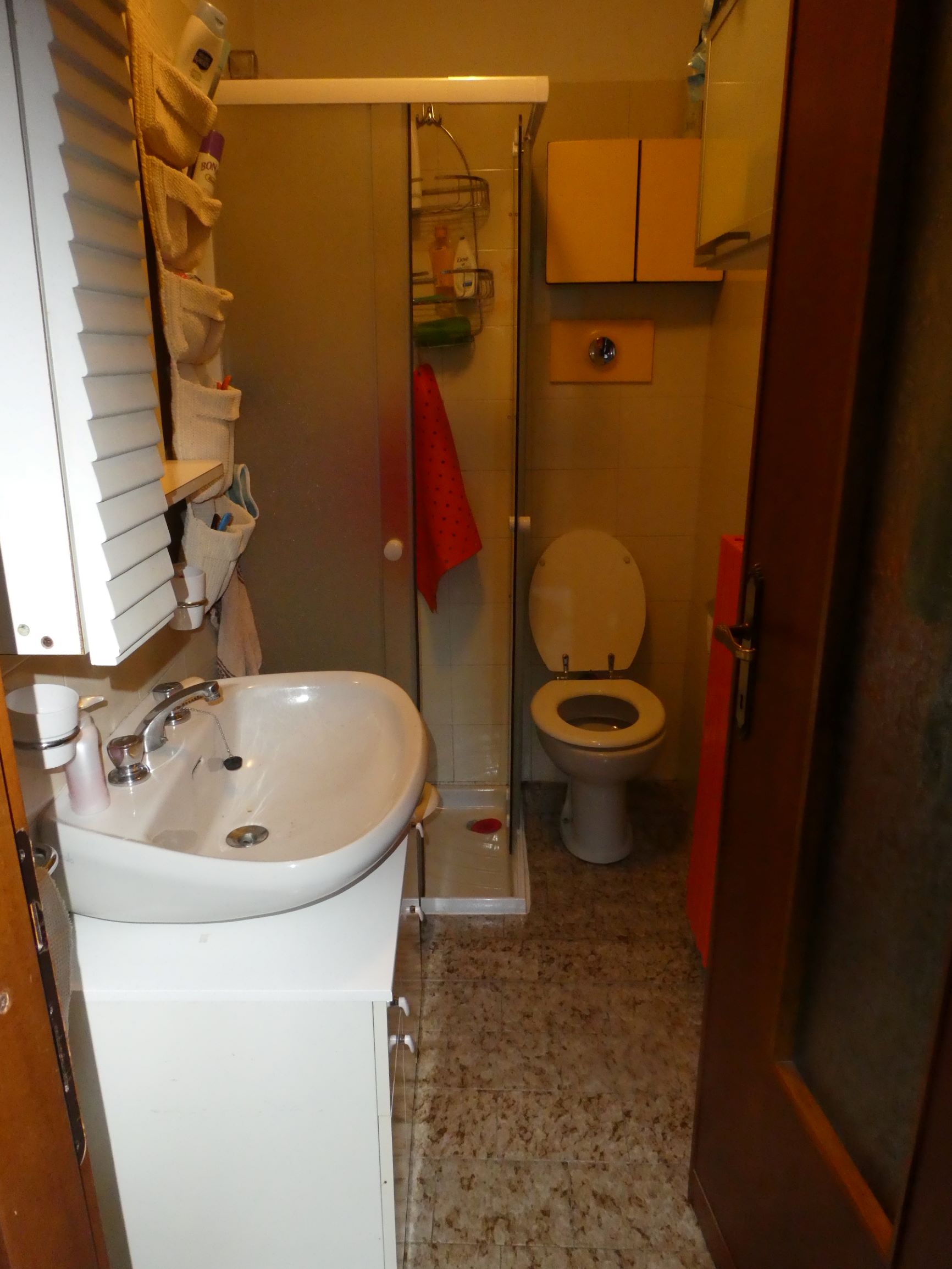 Foto6