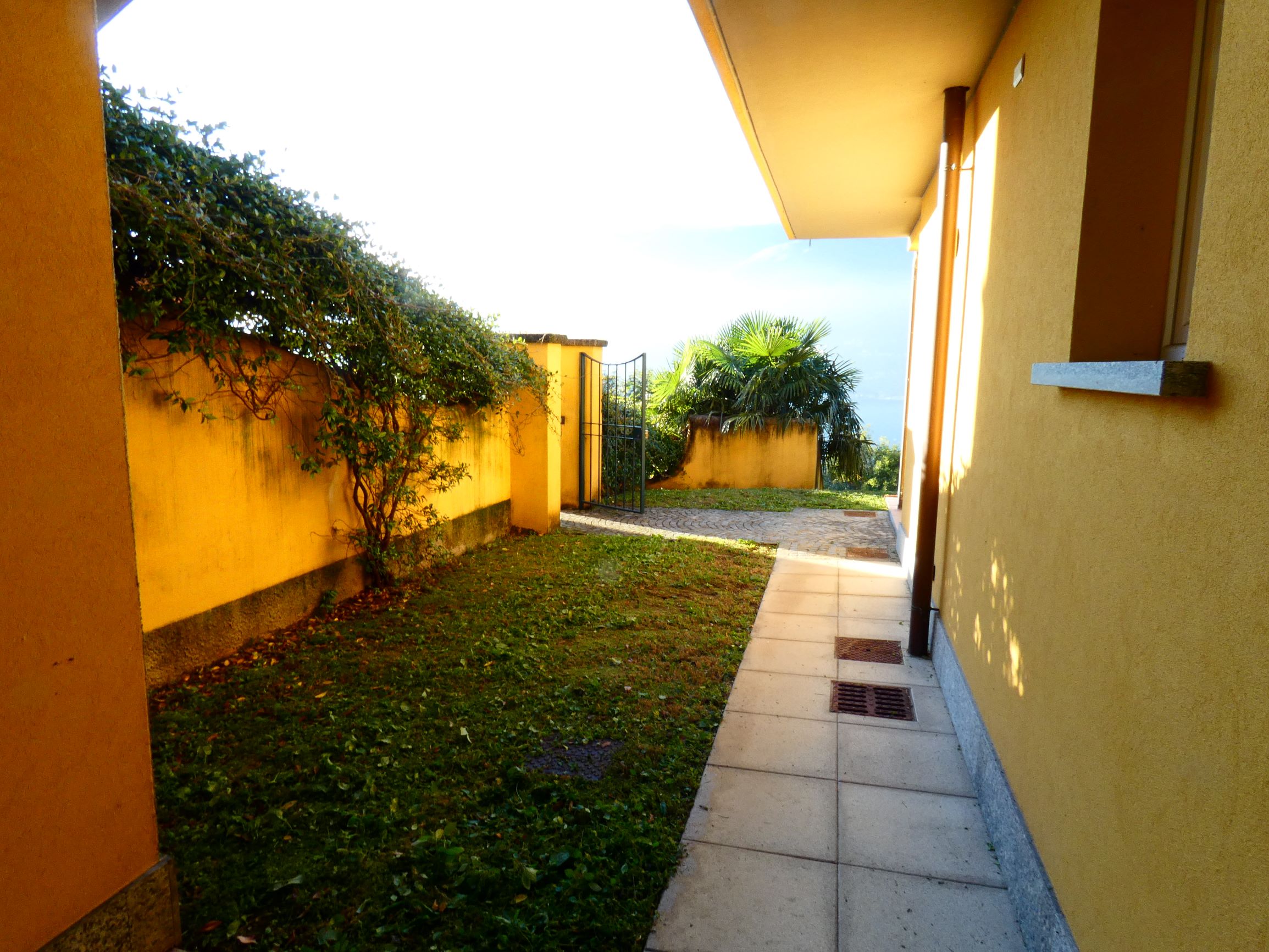 Foto19