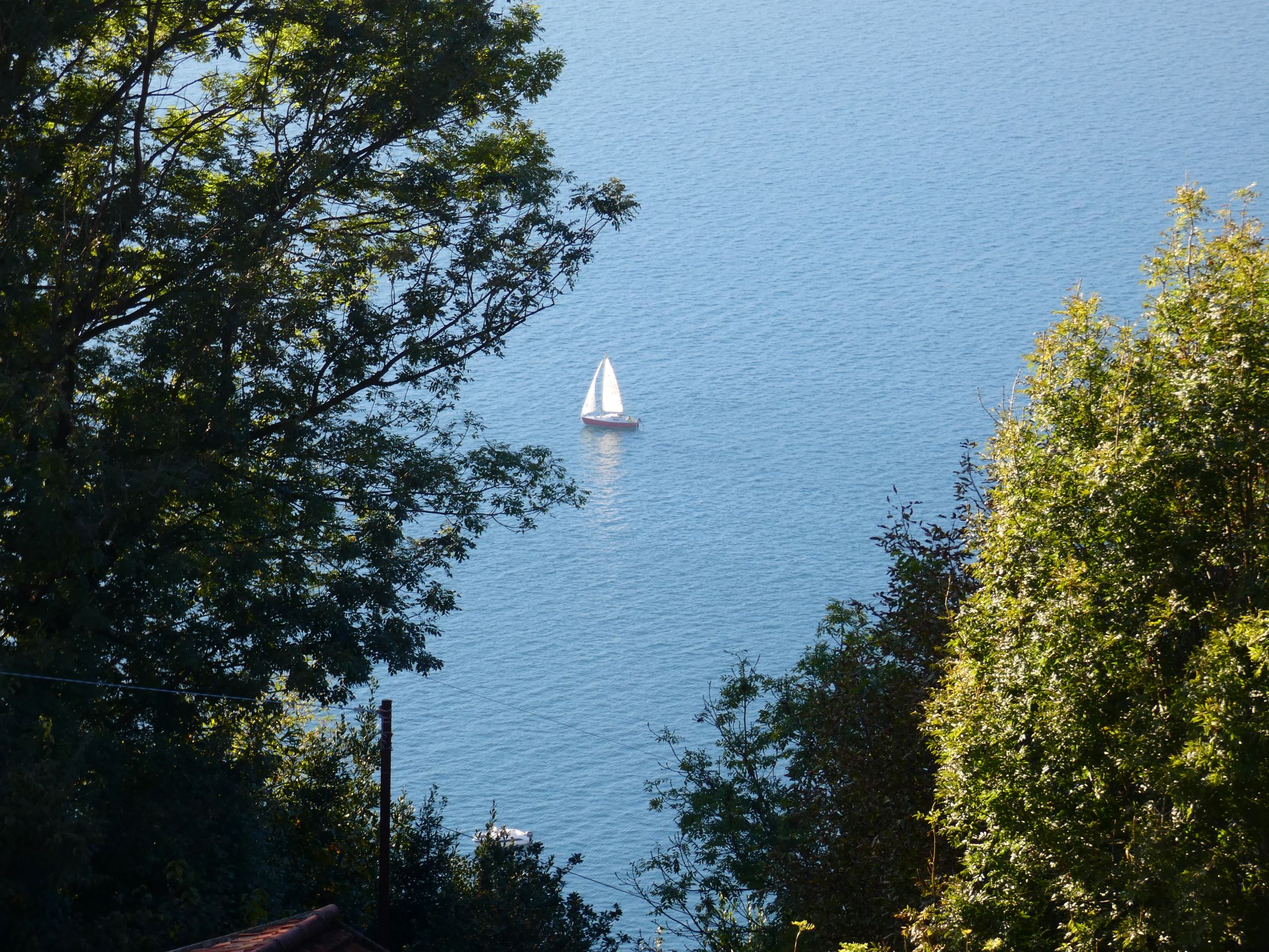 Foto16