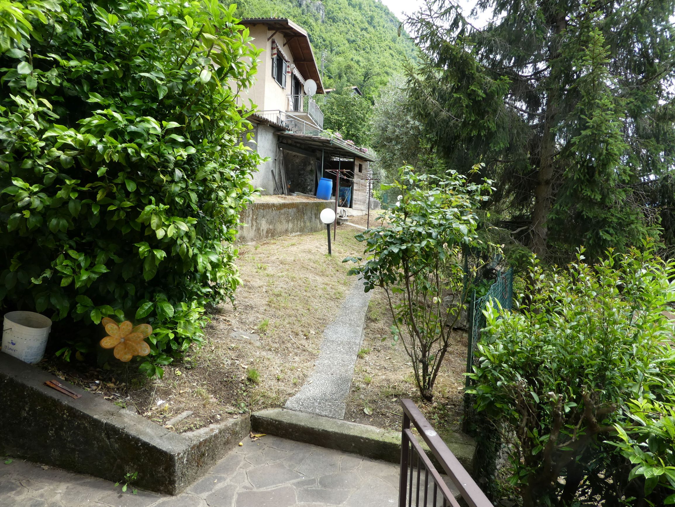 Foto6