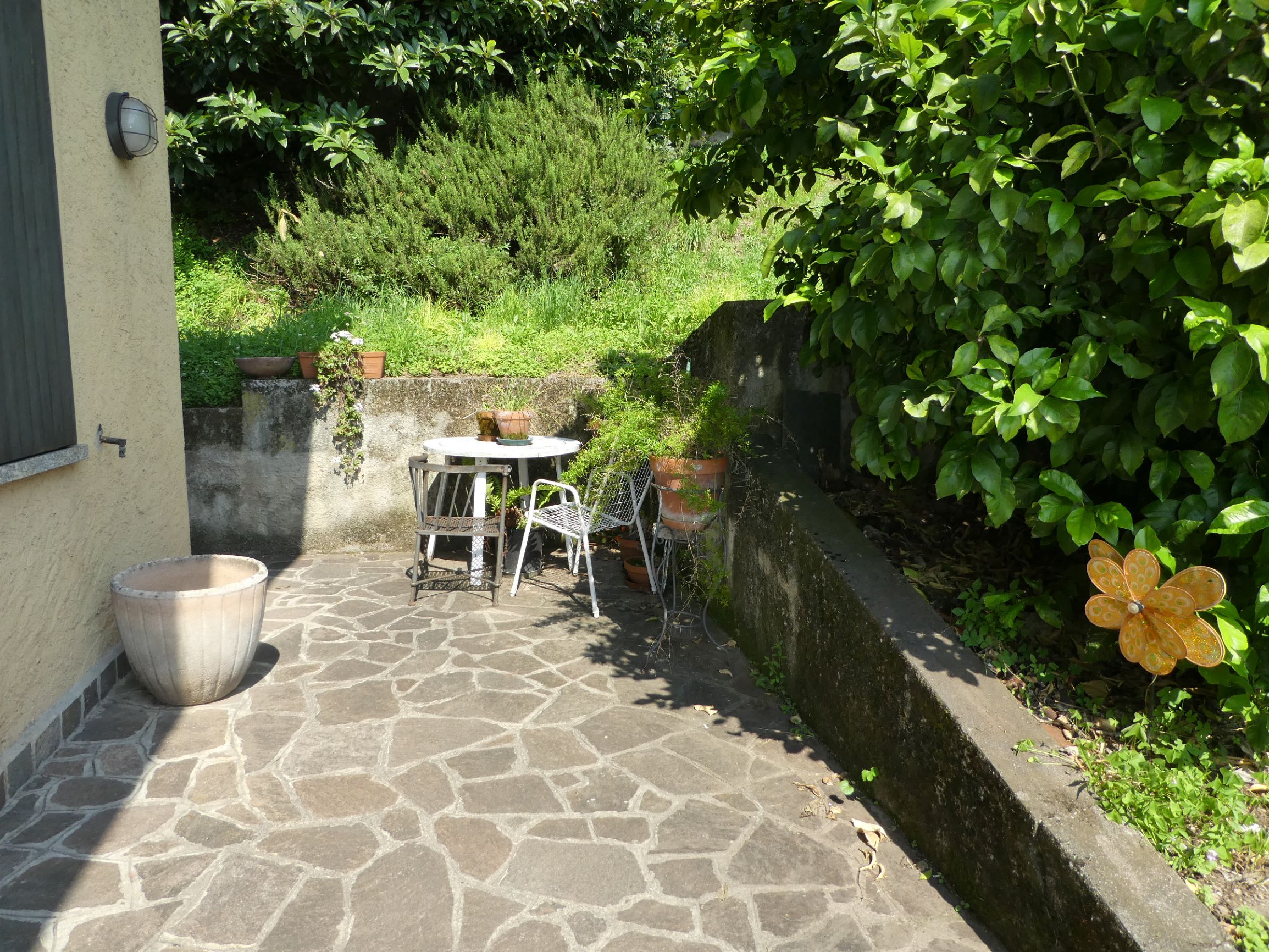 Foto4