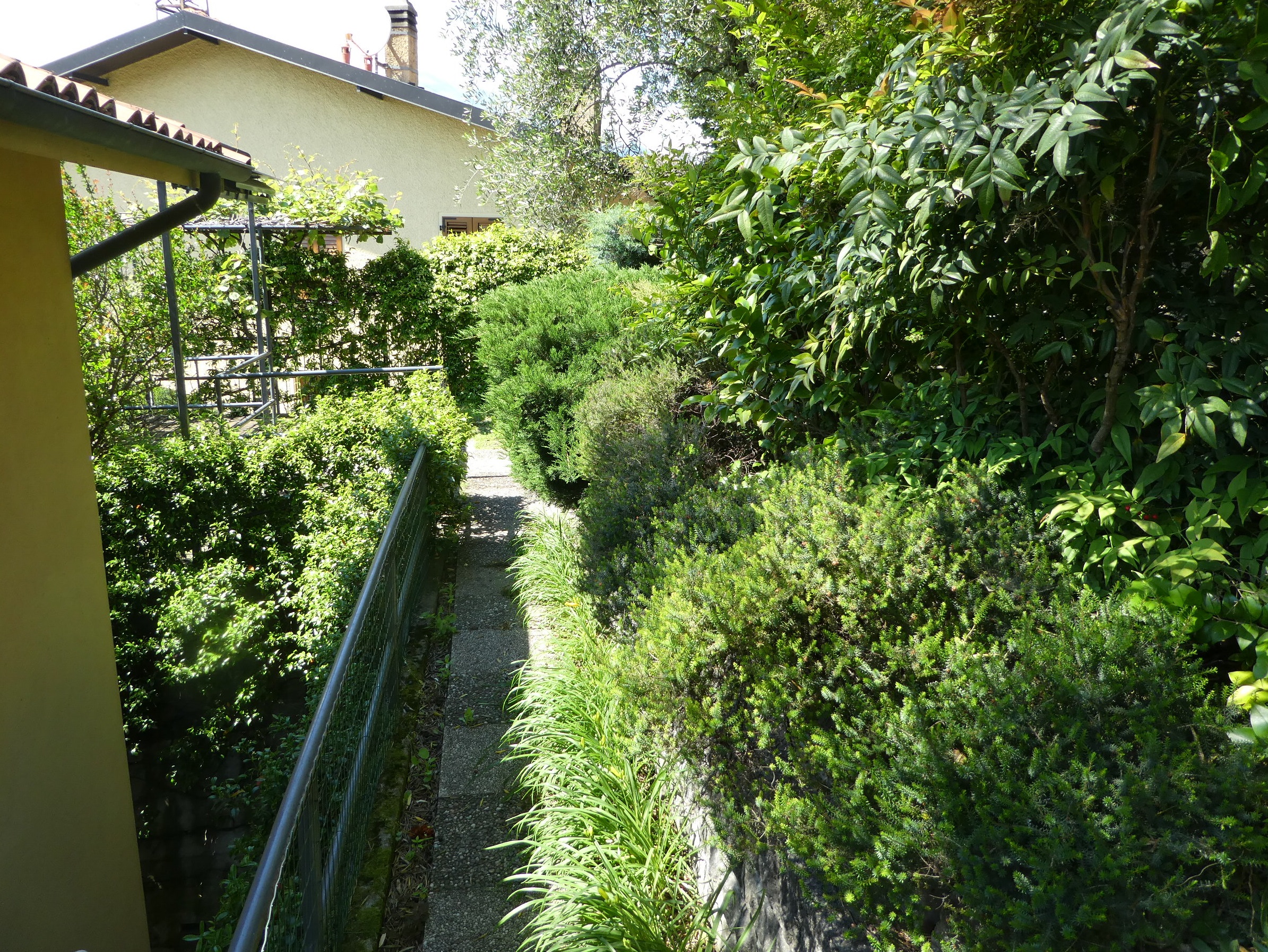 Foto6