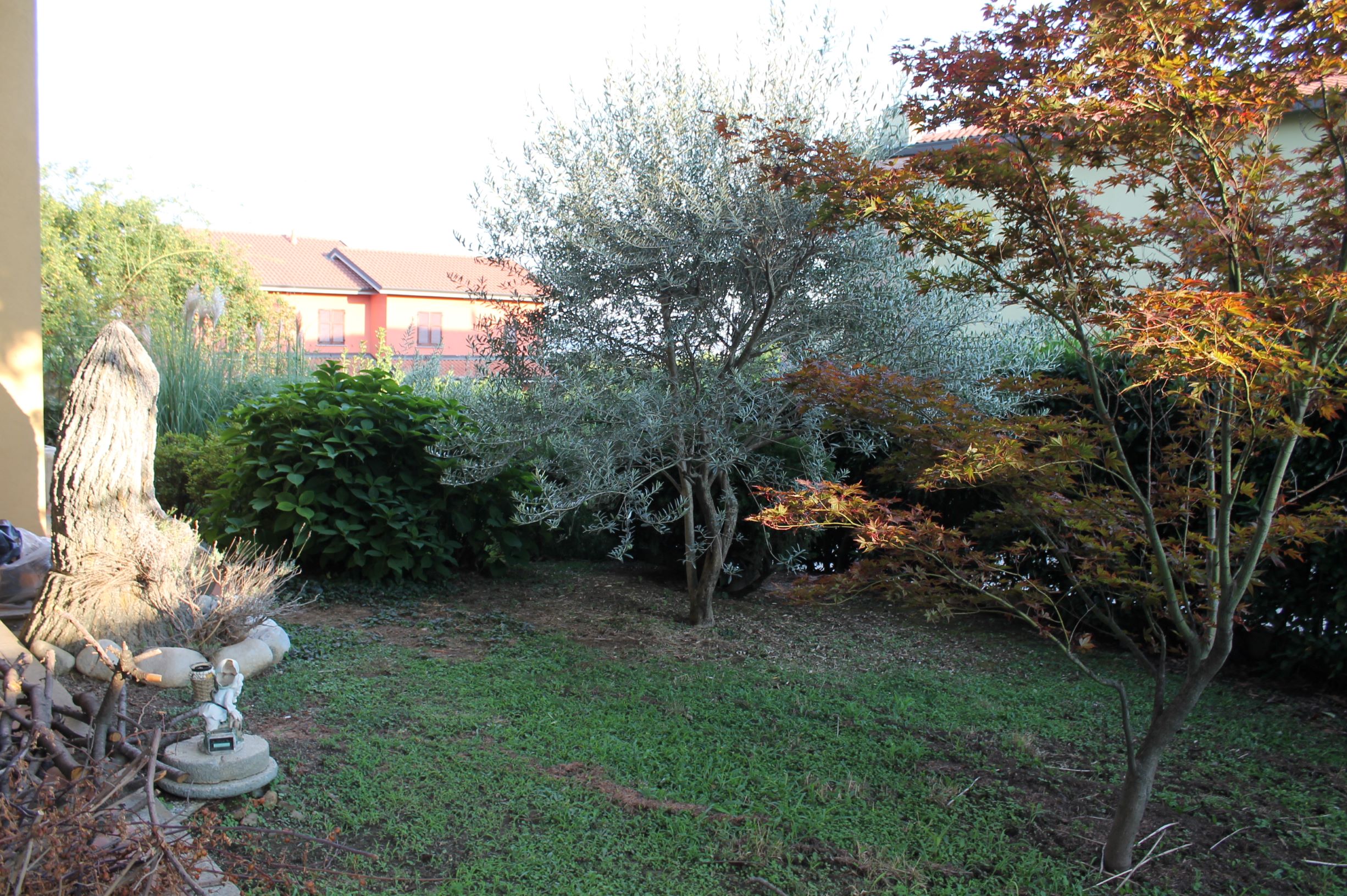 Foto3