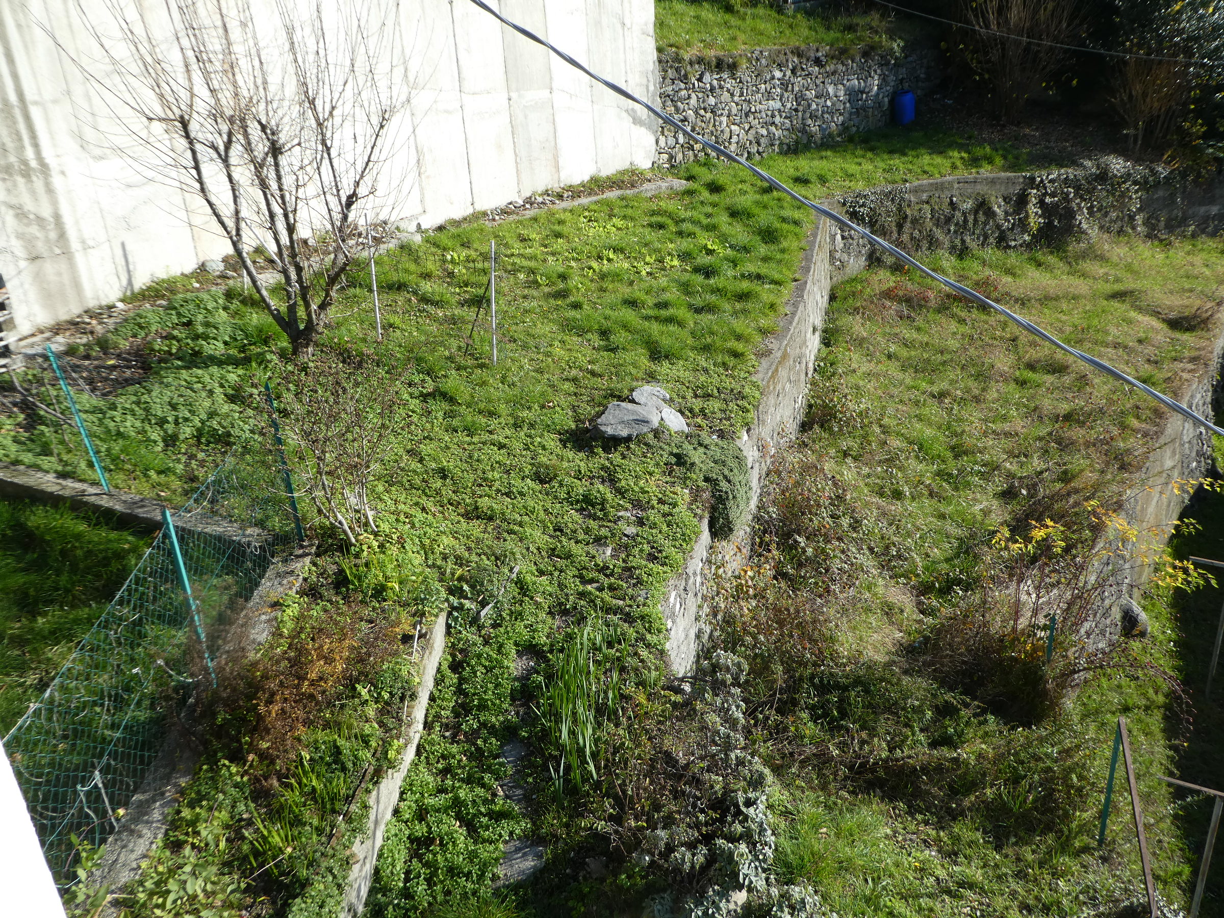 Foto6