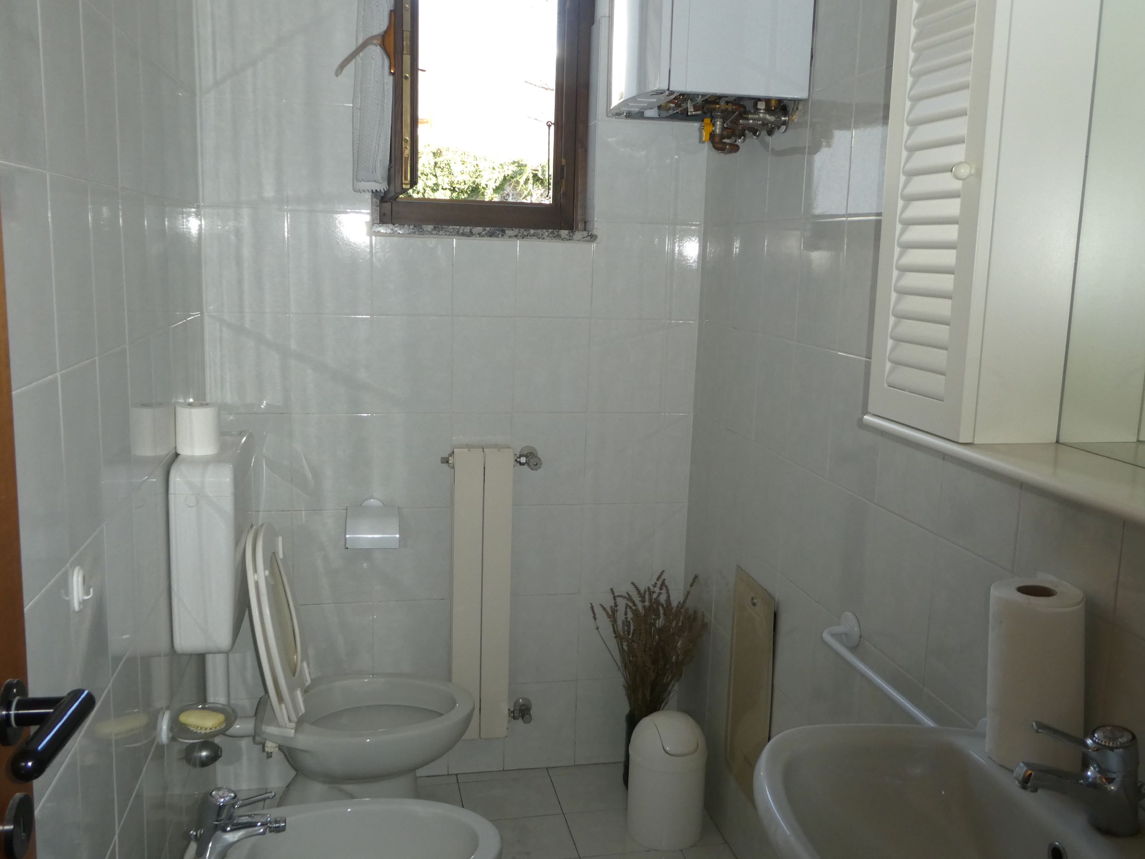 Foto8