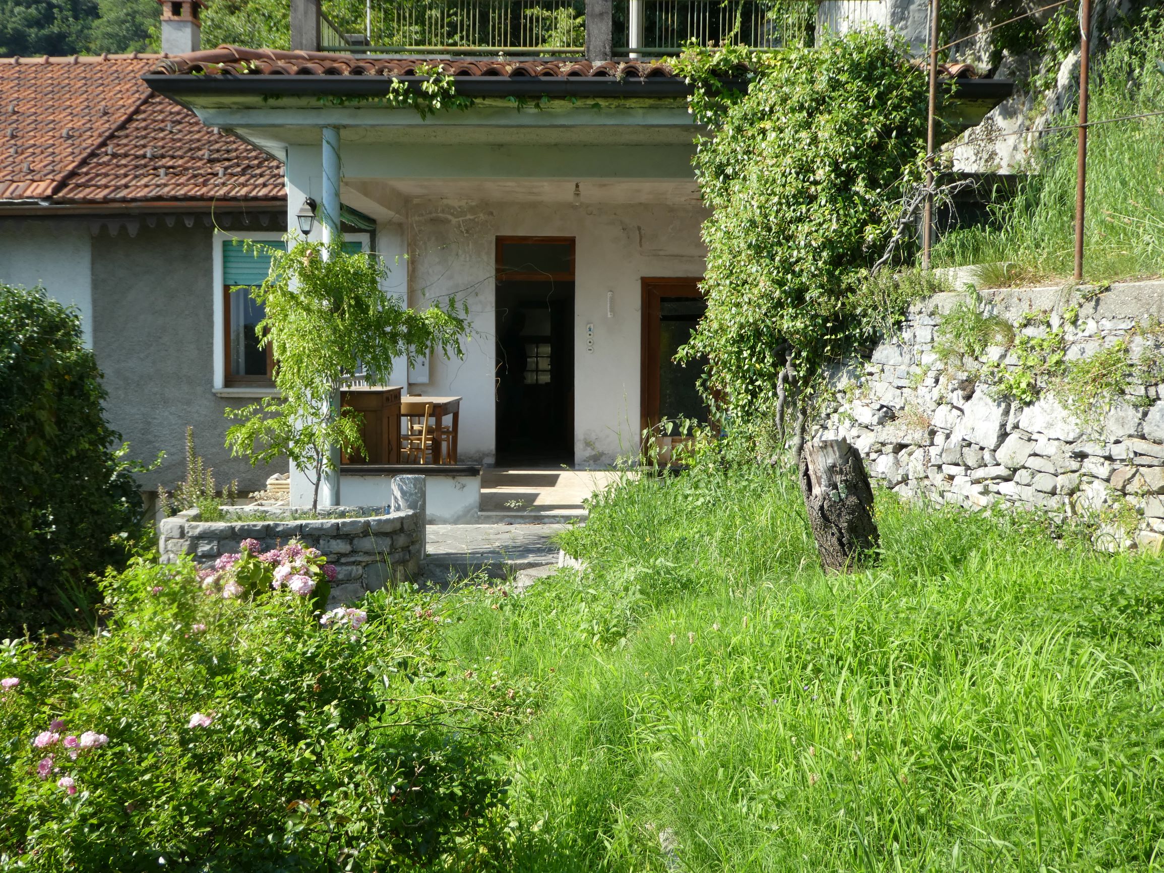 Foto1