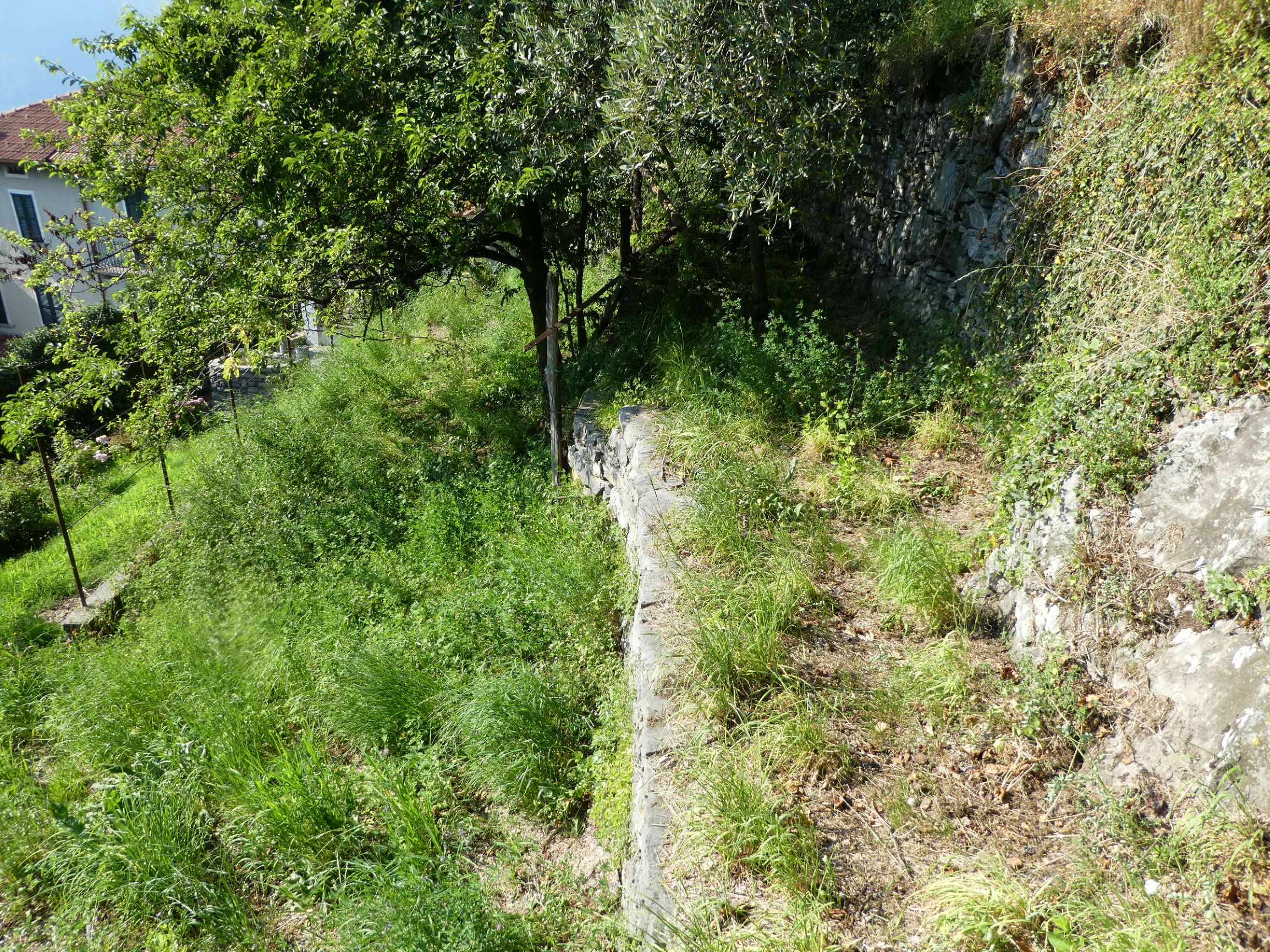 Foto14