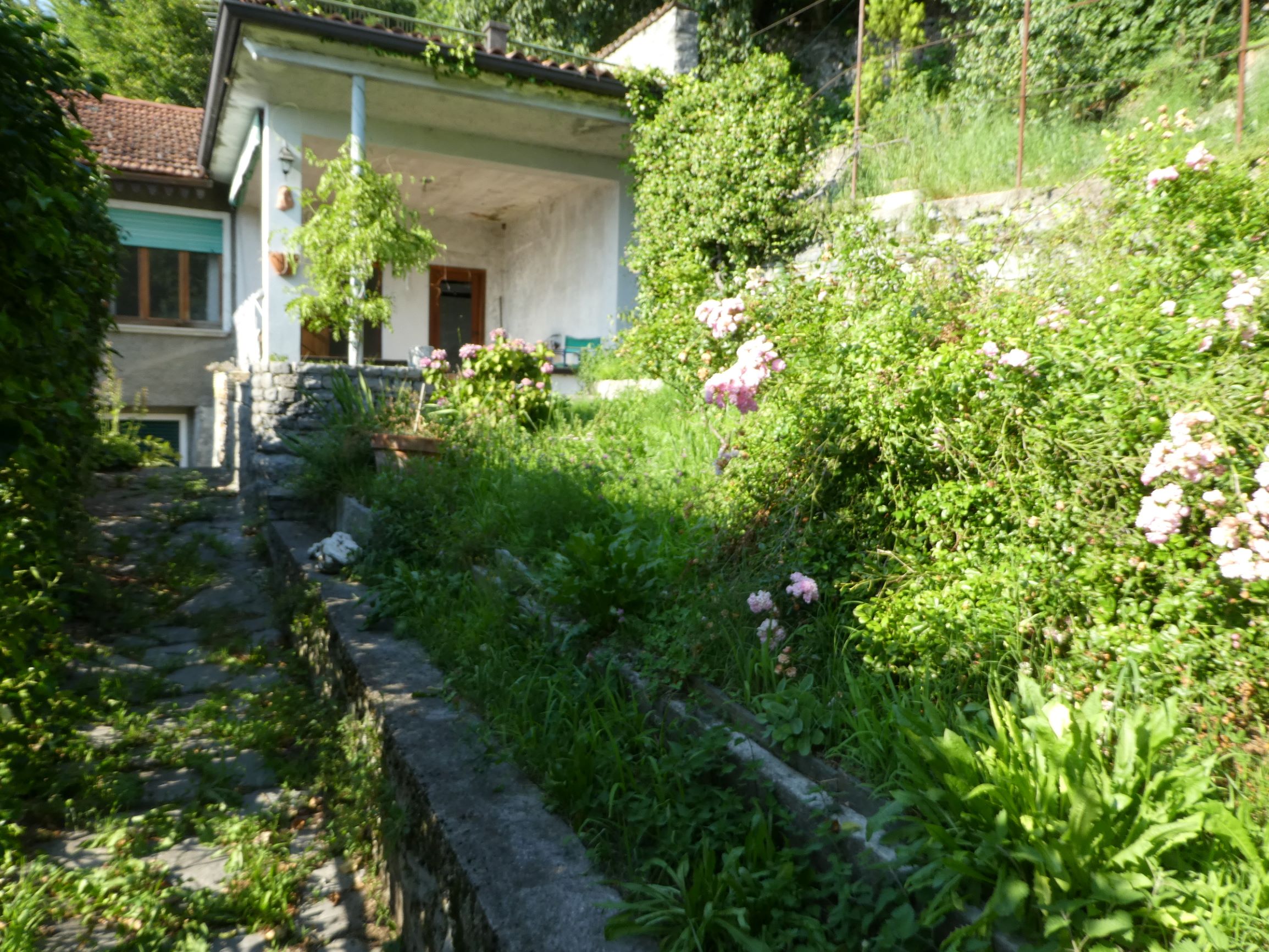 Foto16