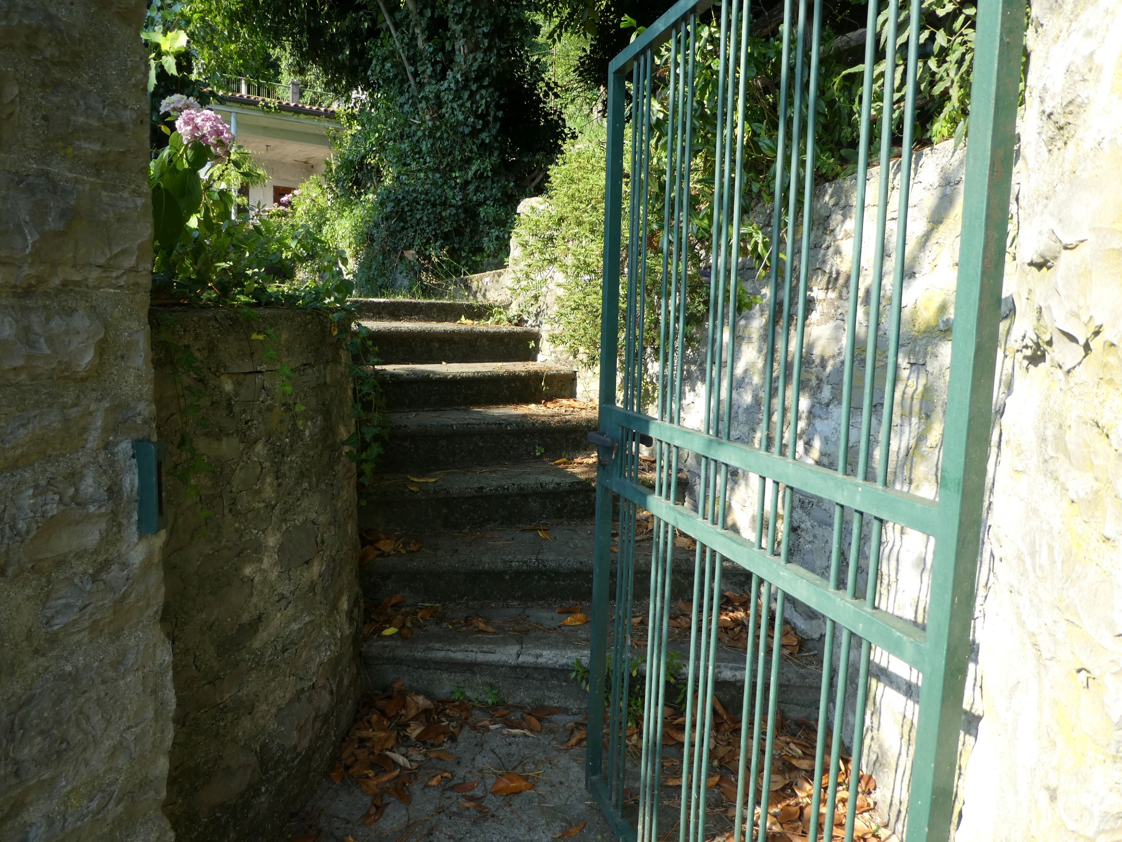 Foto15
