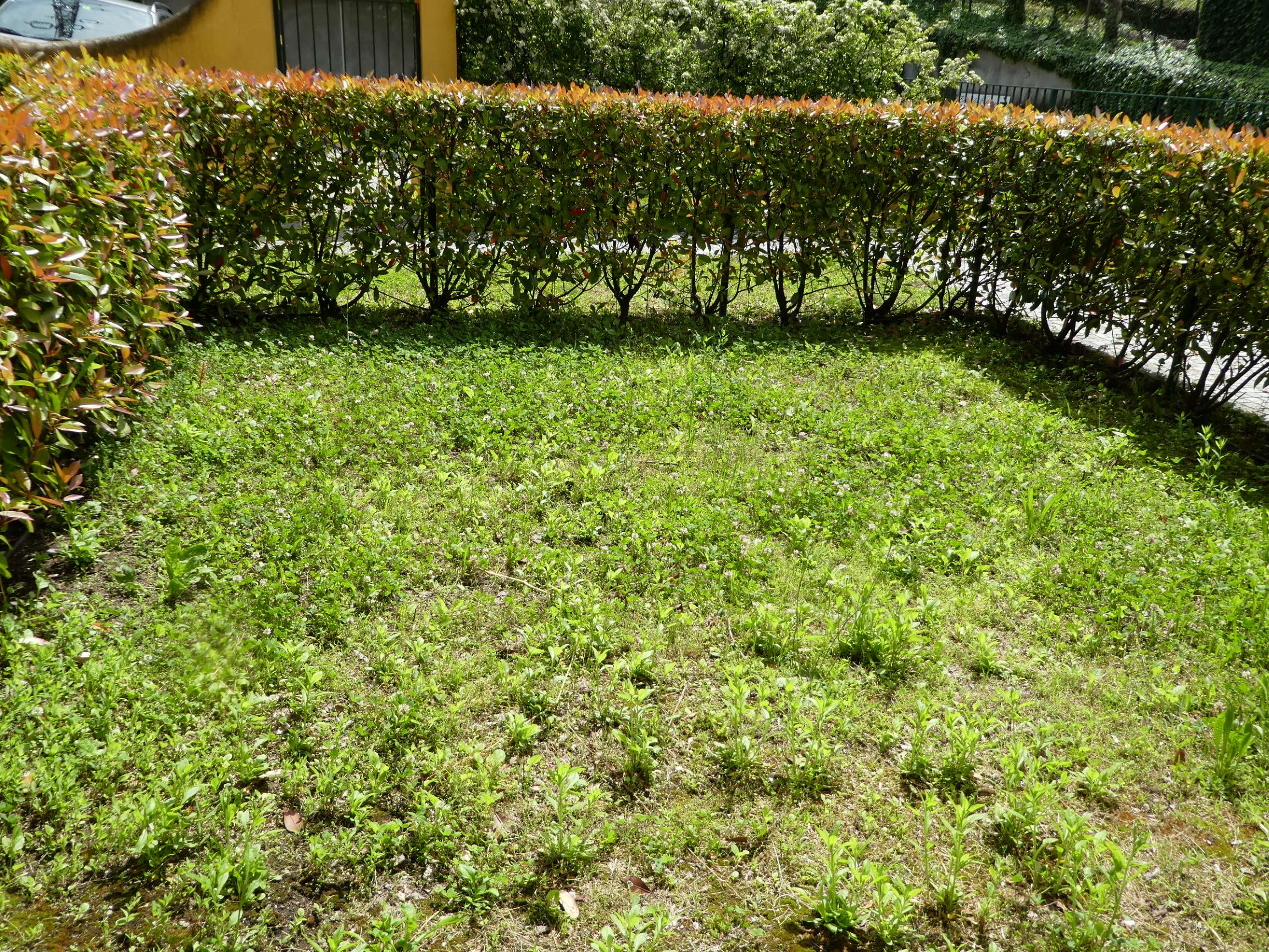 Foto8
