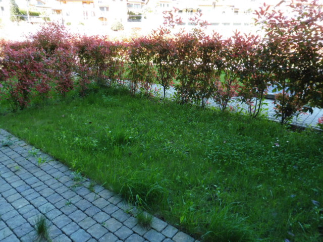 Domaso (CO) : Appartamento arredato, con giardino e ampio garage in residence con piscina