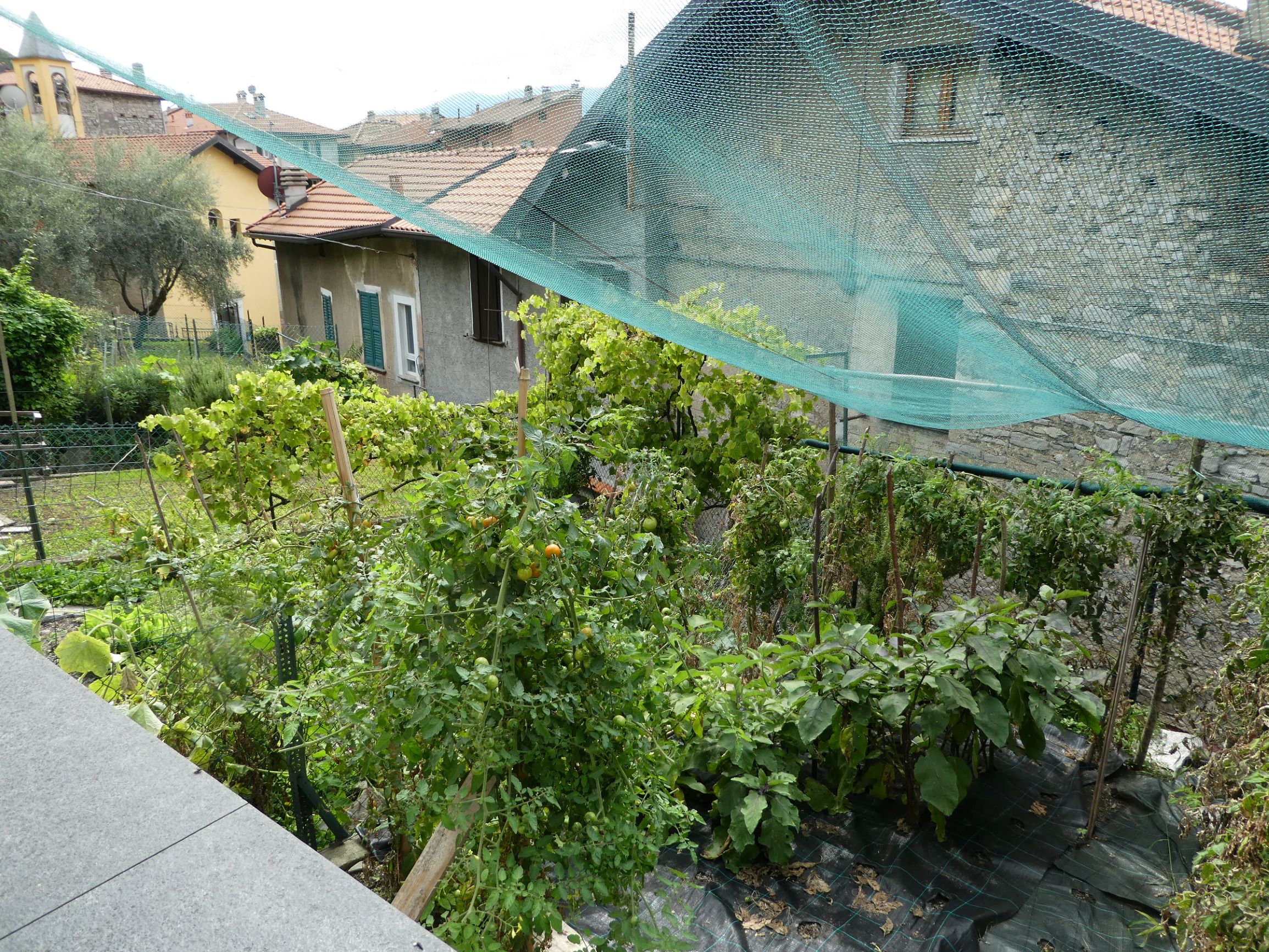 Foto15