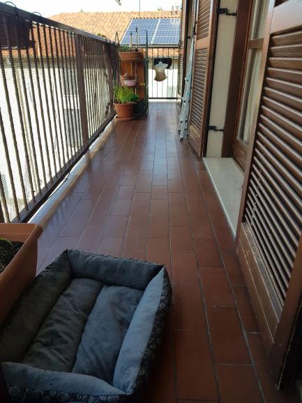 Foto10