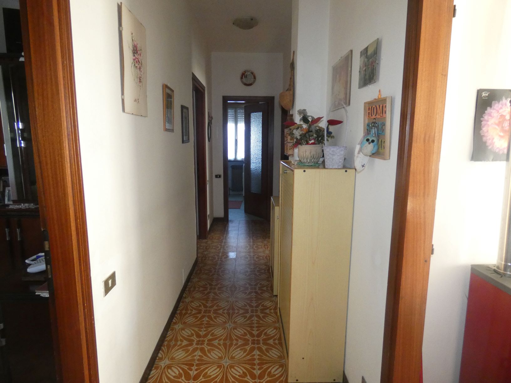 Foto5
