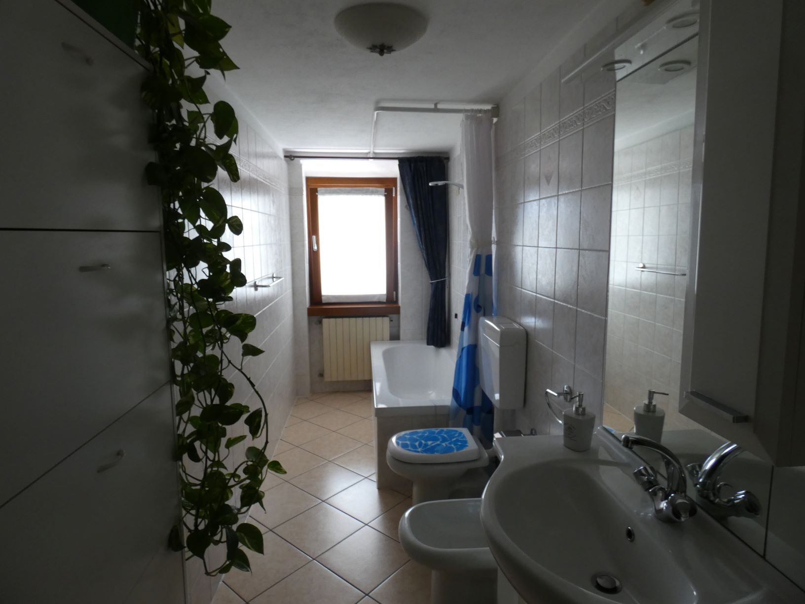 Foto10