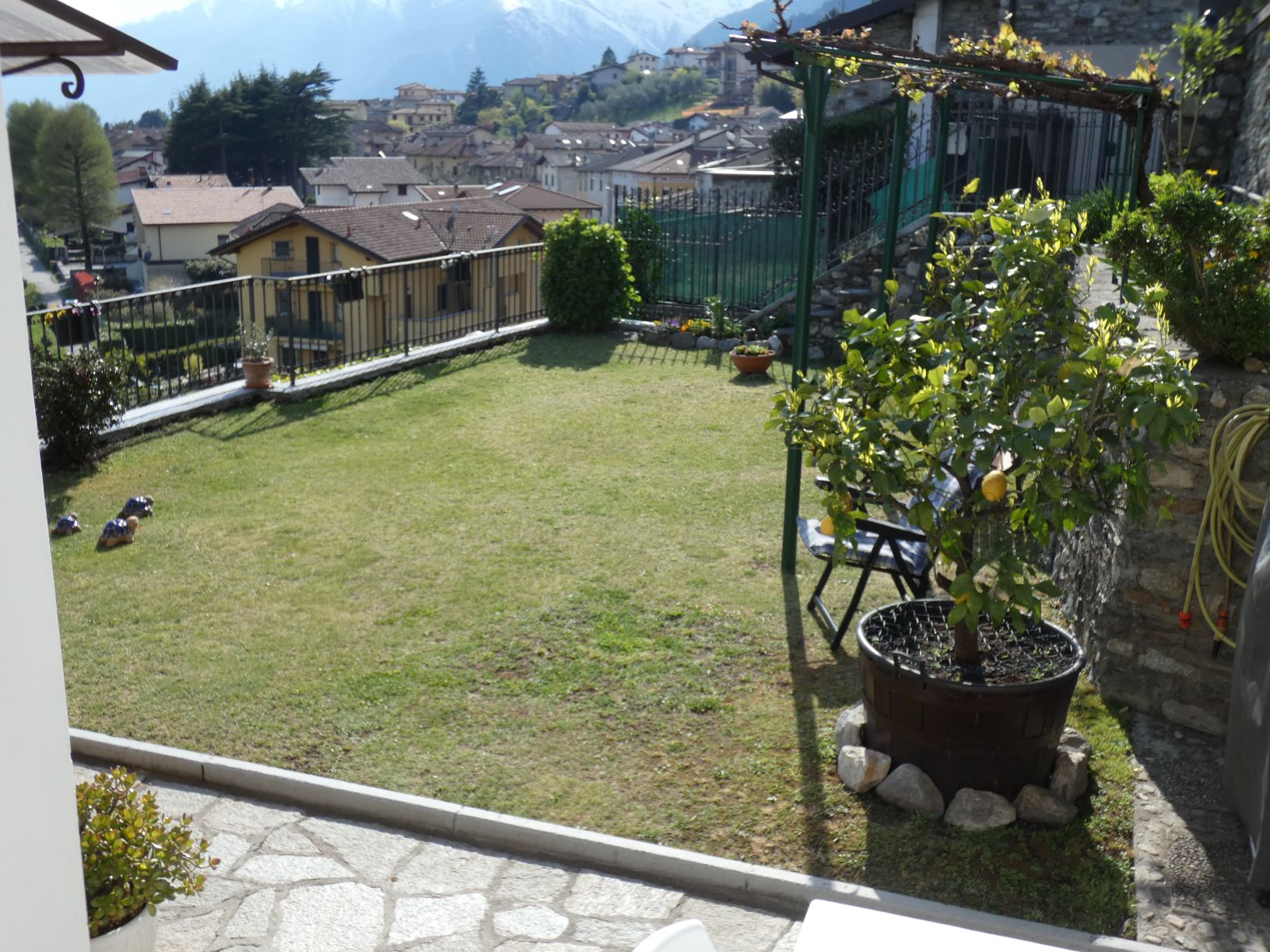 Foto7