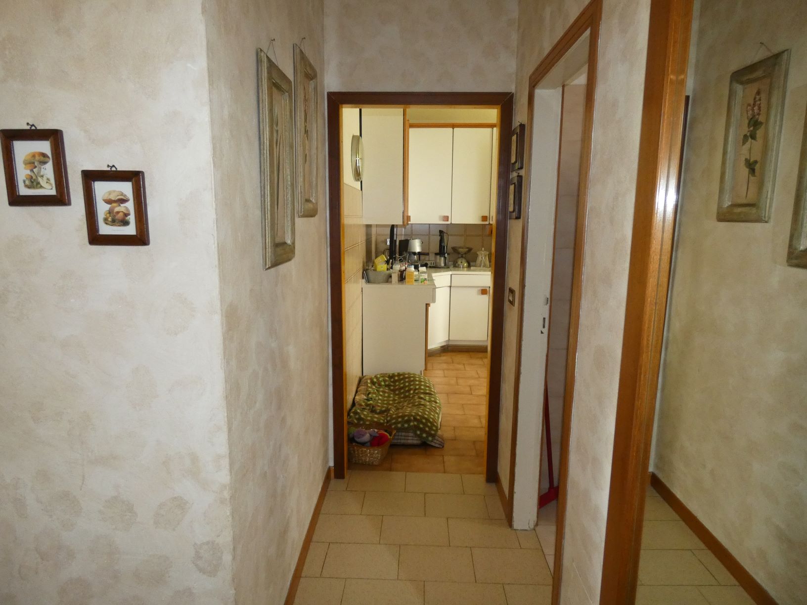 Foto20