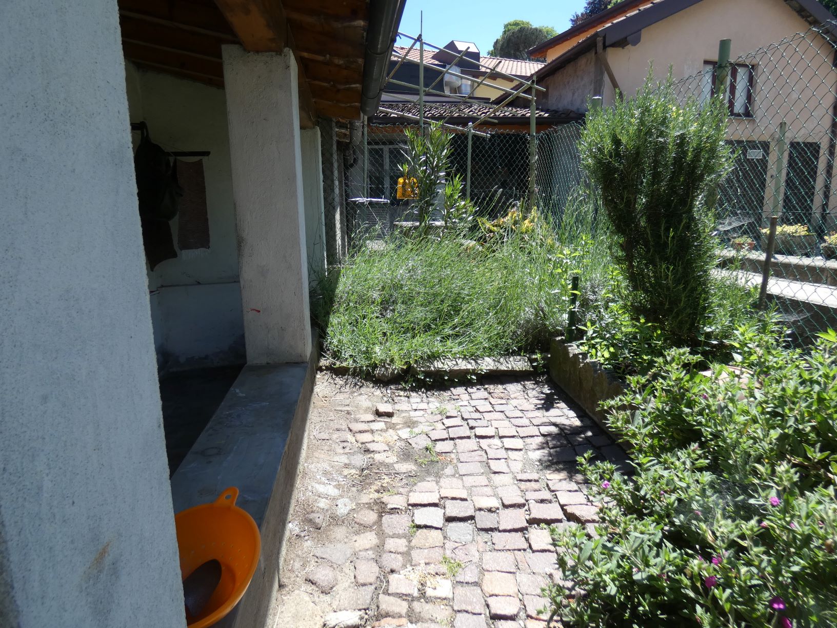 Foto18