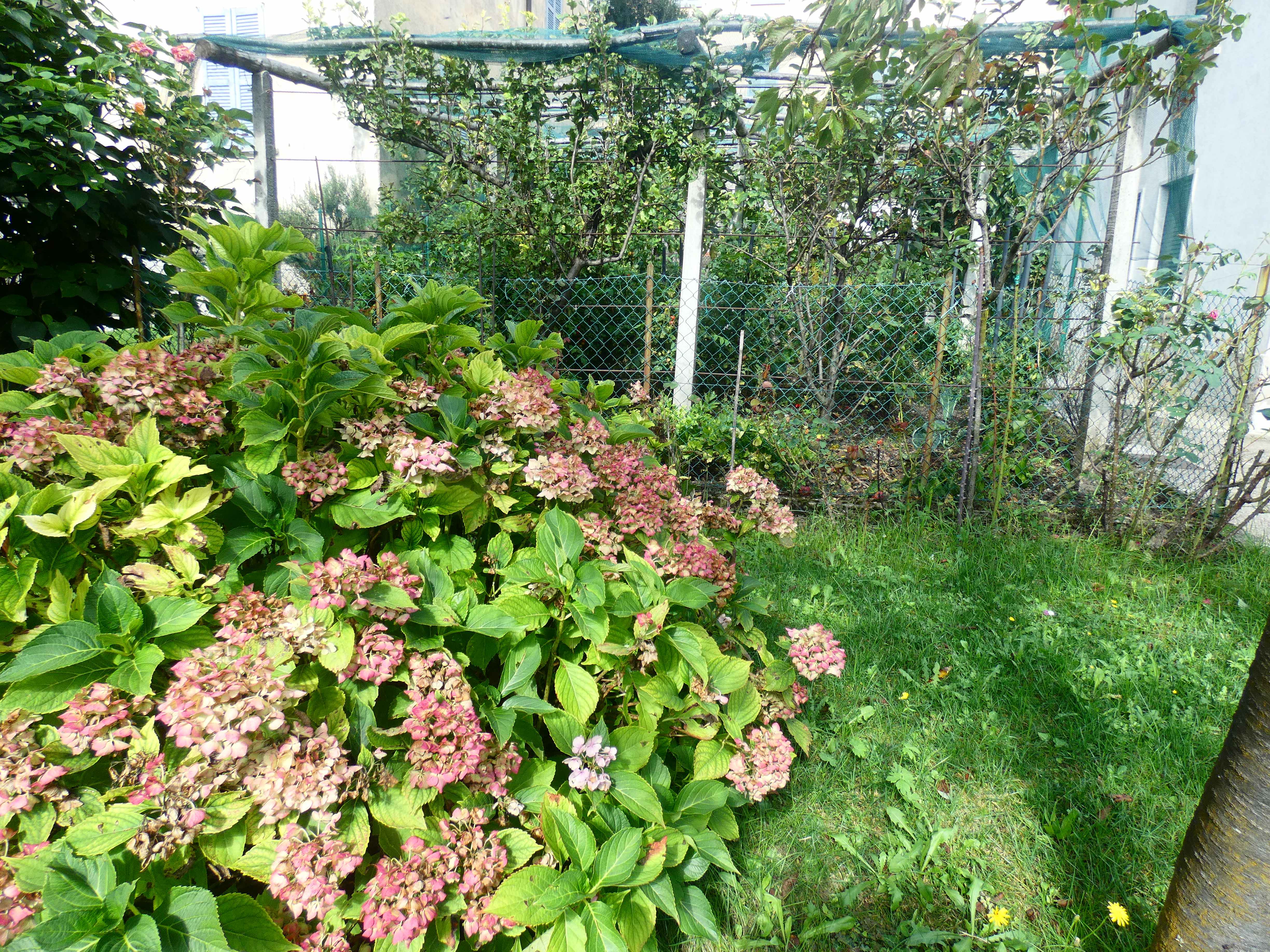 Foto3