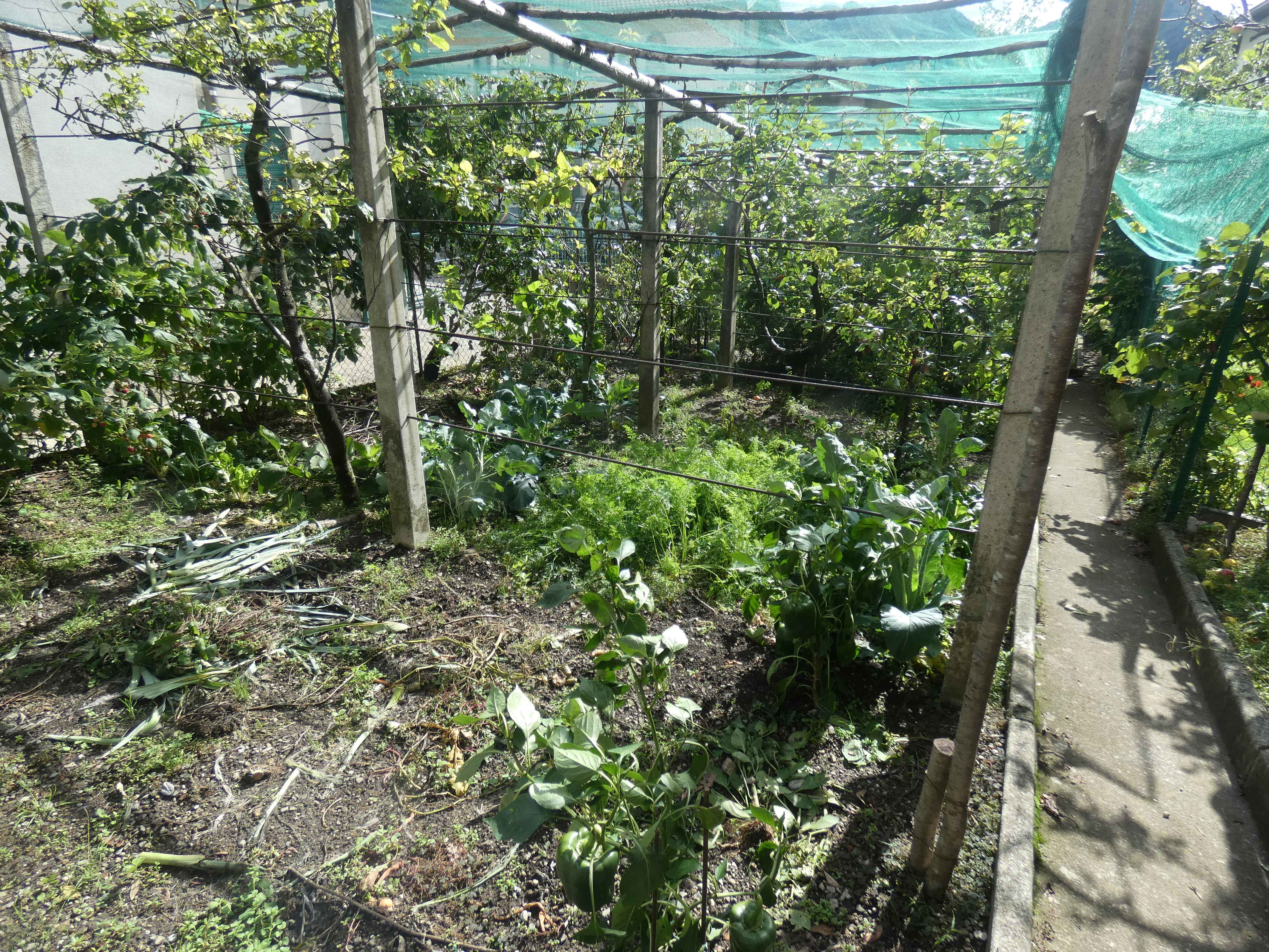Foto14