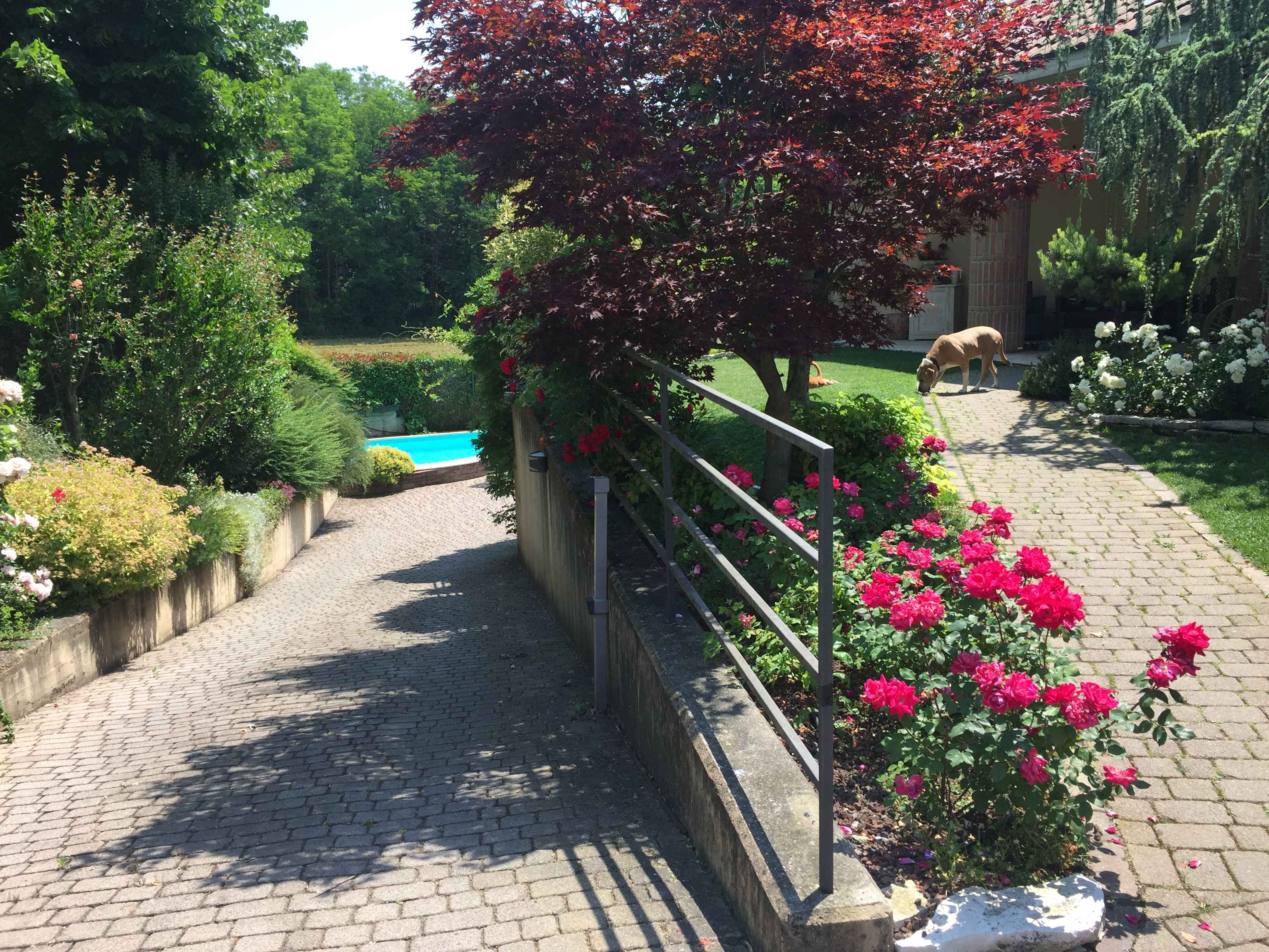 Foto22