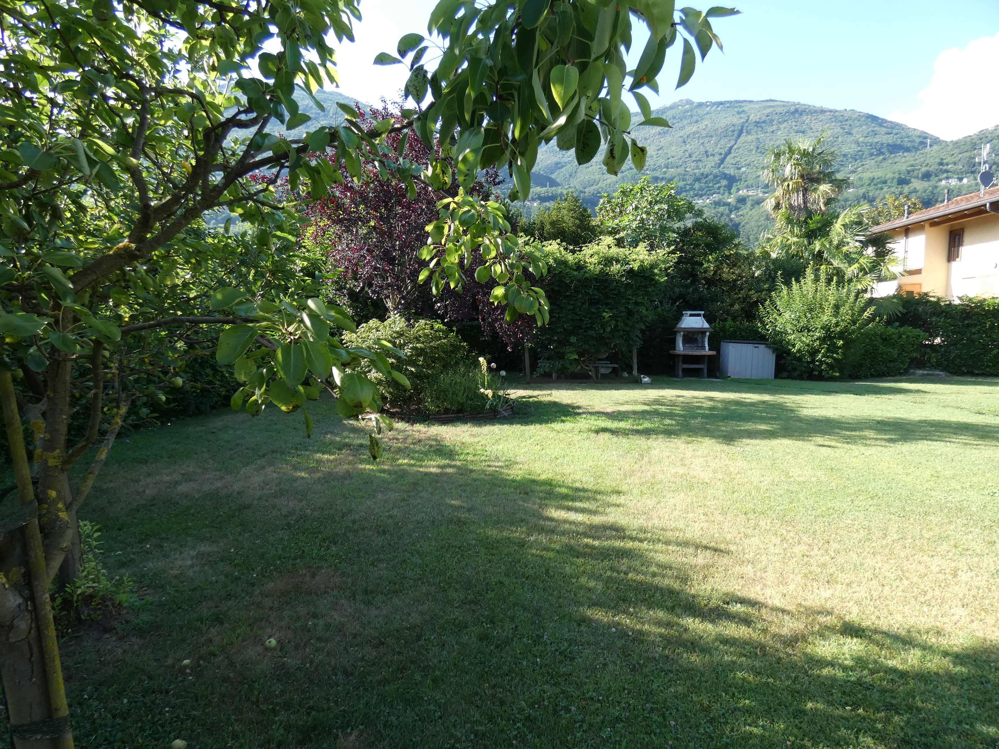 Foto7