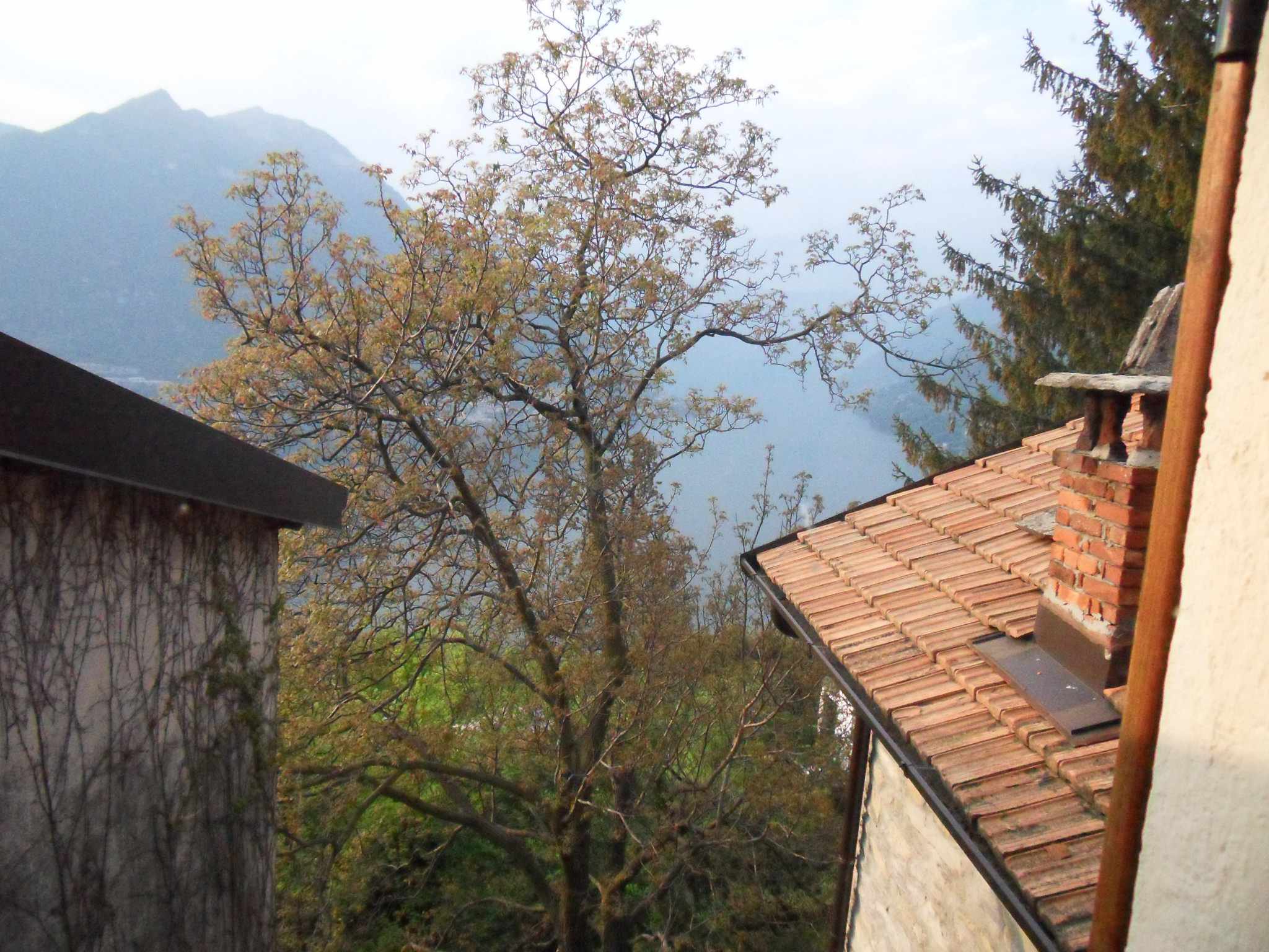 Faggeto Lario (COMO): Bilocale con vista lago di Como al 1° P. con cantina e solaio