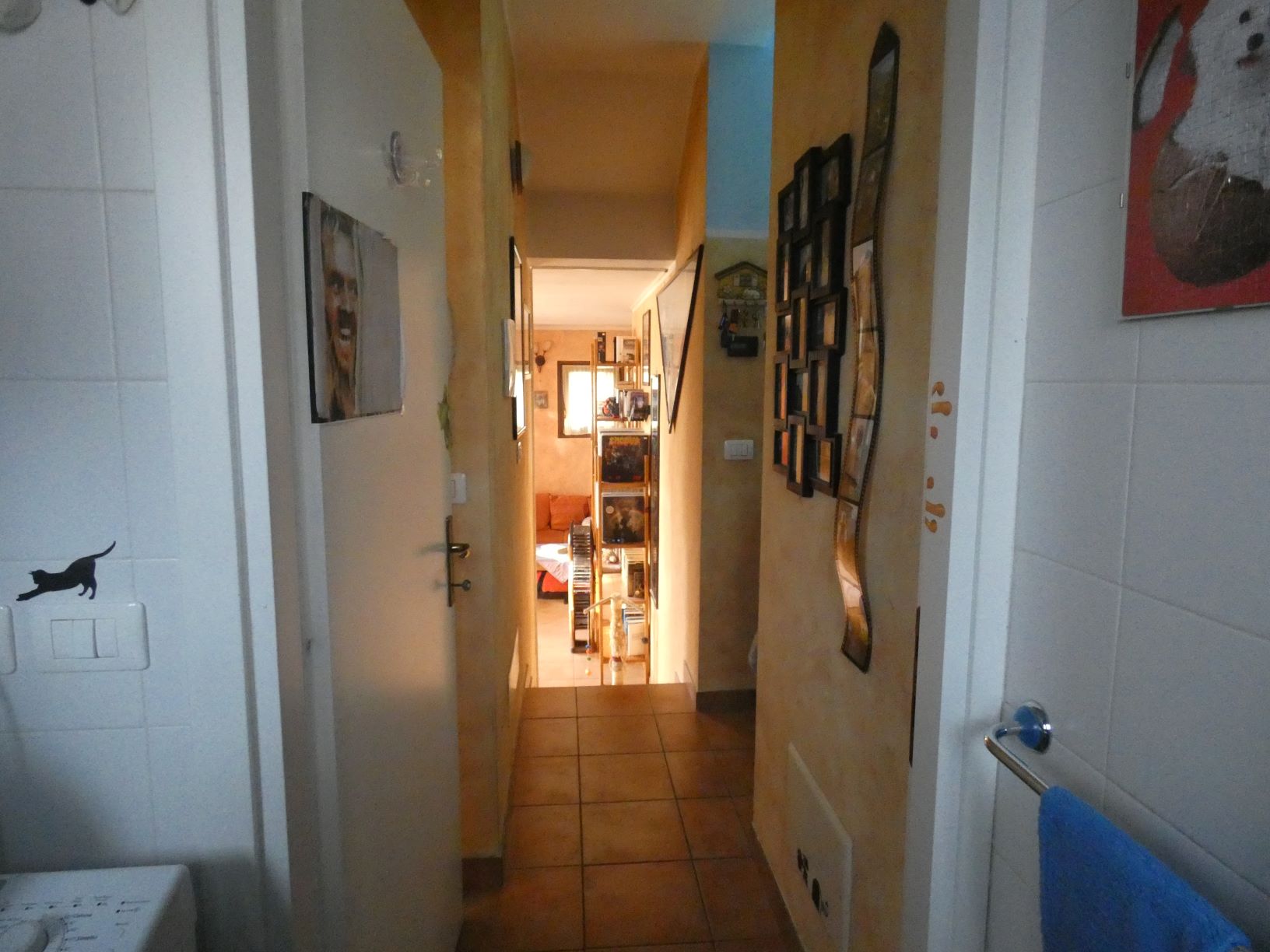 Foto7