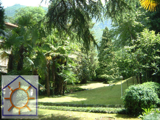 Foto7
