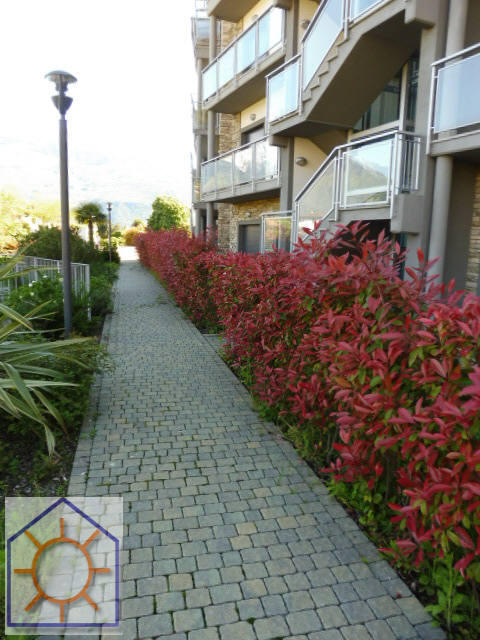 Foto5