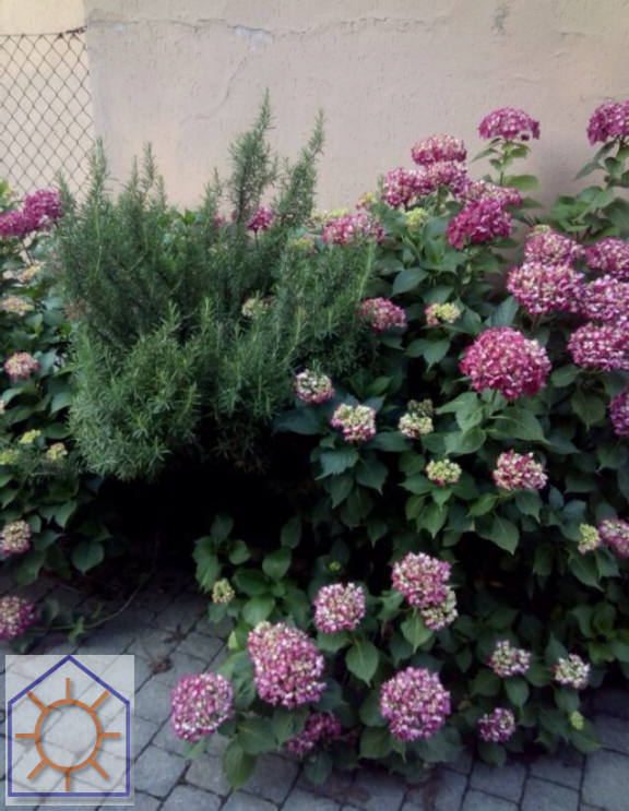 Foto24
