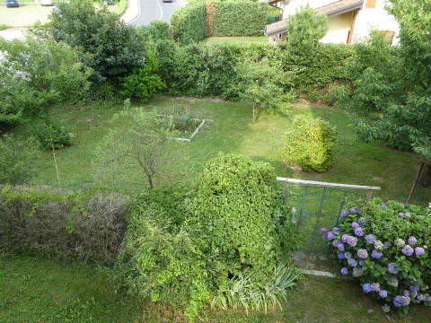 Foto2