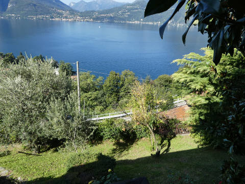 Foto2