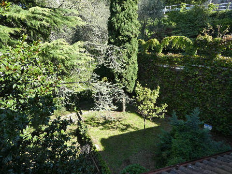 Foto4