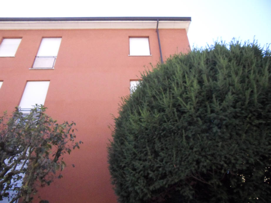 Carimate (Co) : TRILOCALE PIANO ALTO CON ORTO E BOX
