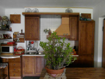 Foto8