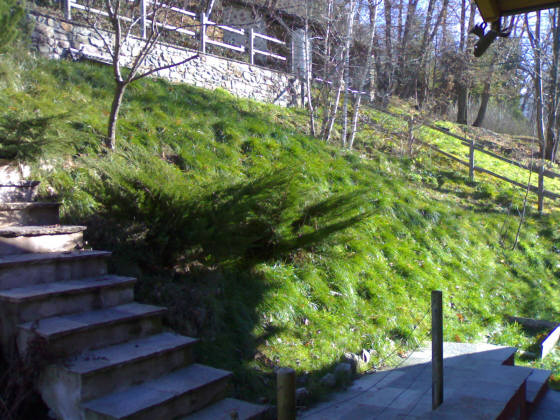 Foto11