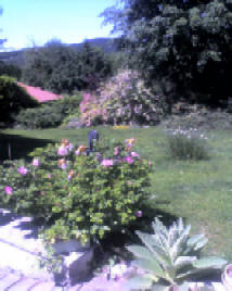 Foto2