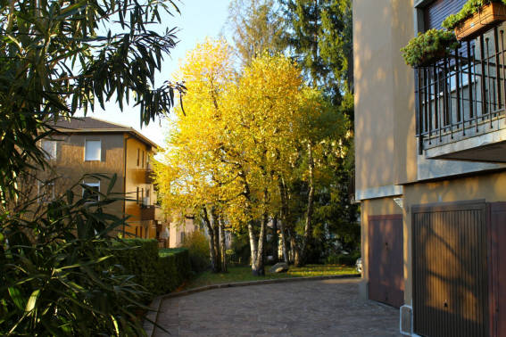 Foto3