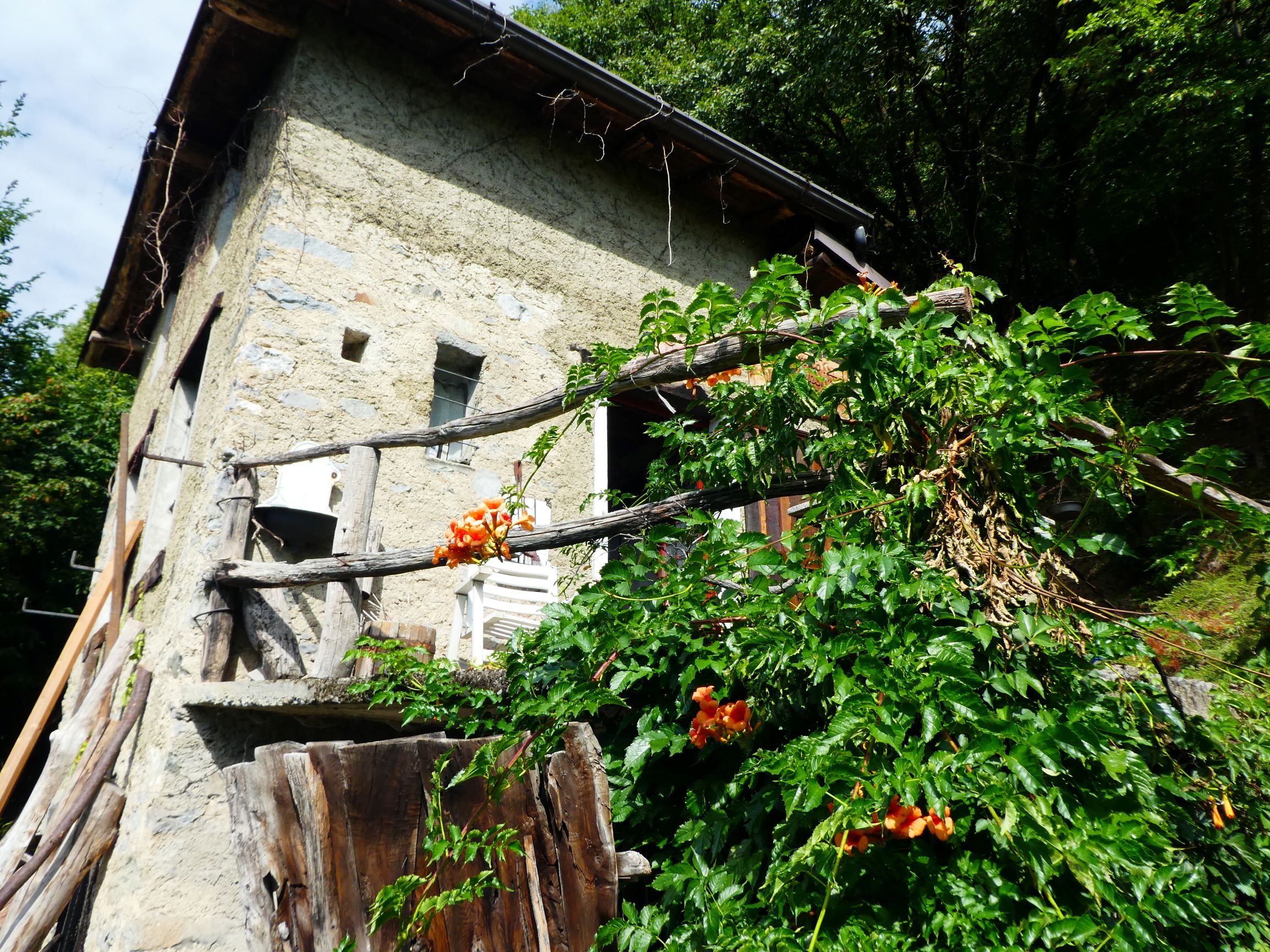 Foto23