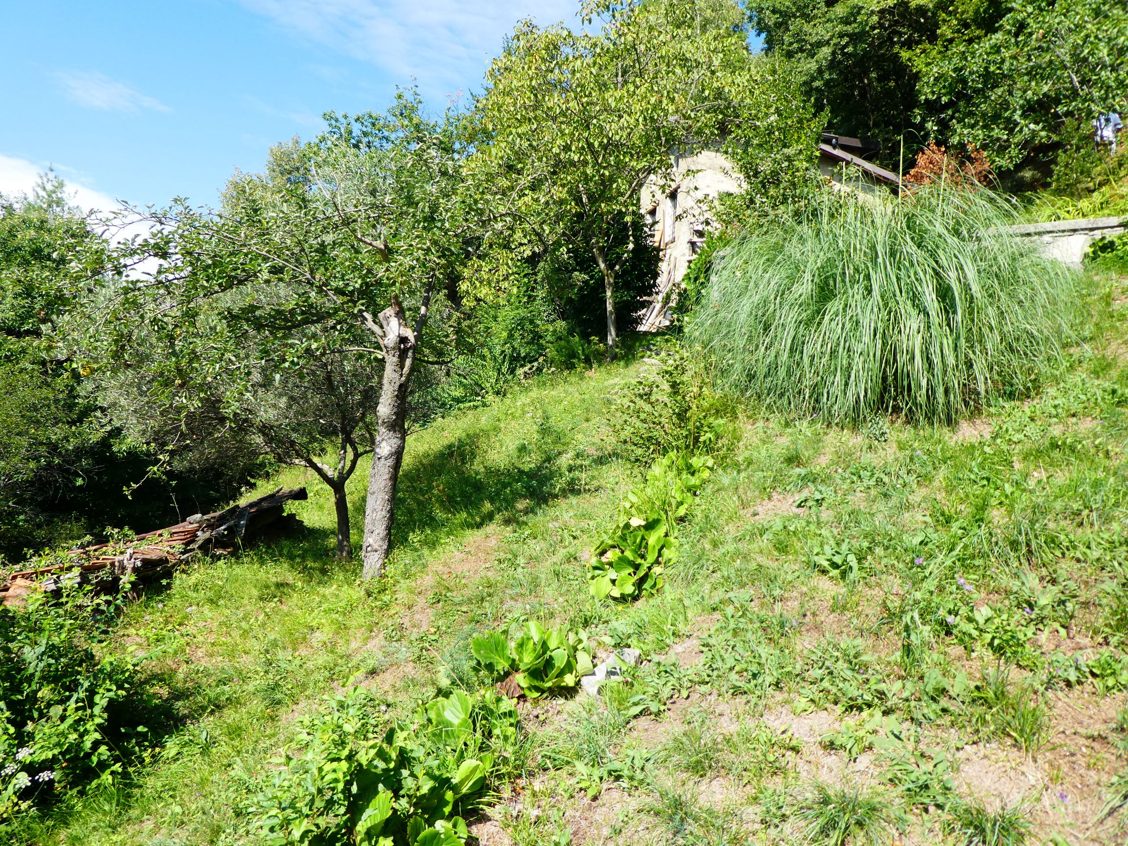 Foto10