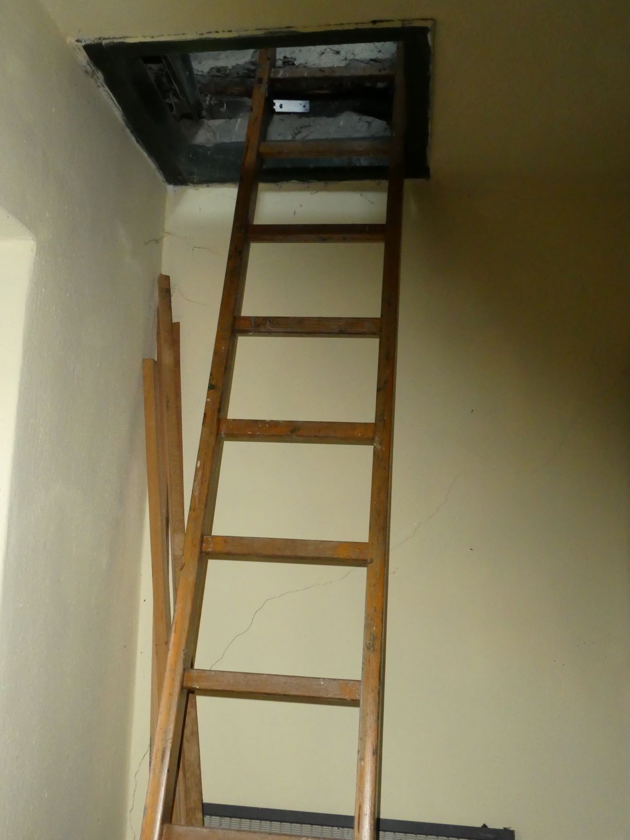 Foto8