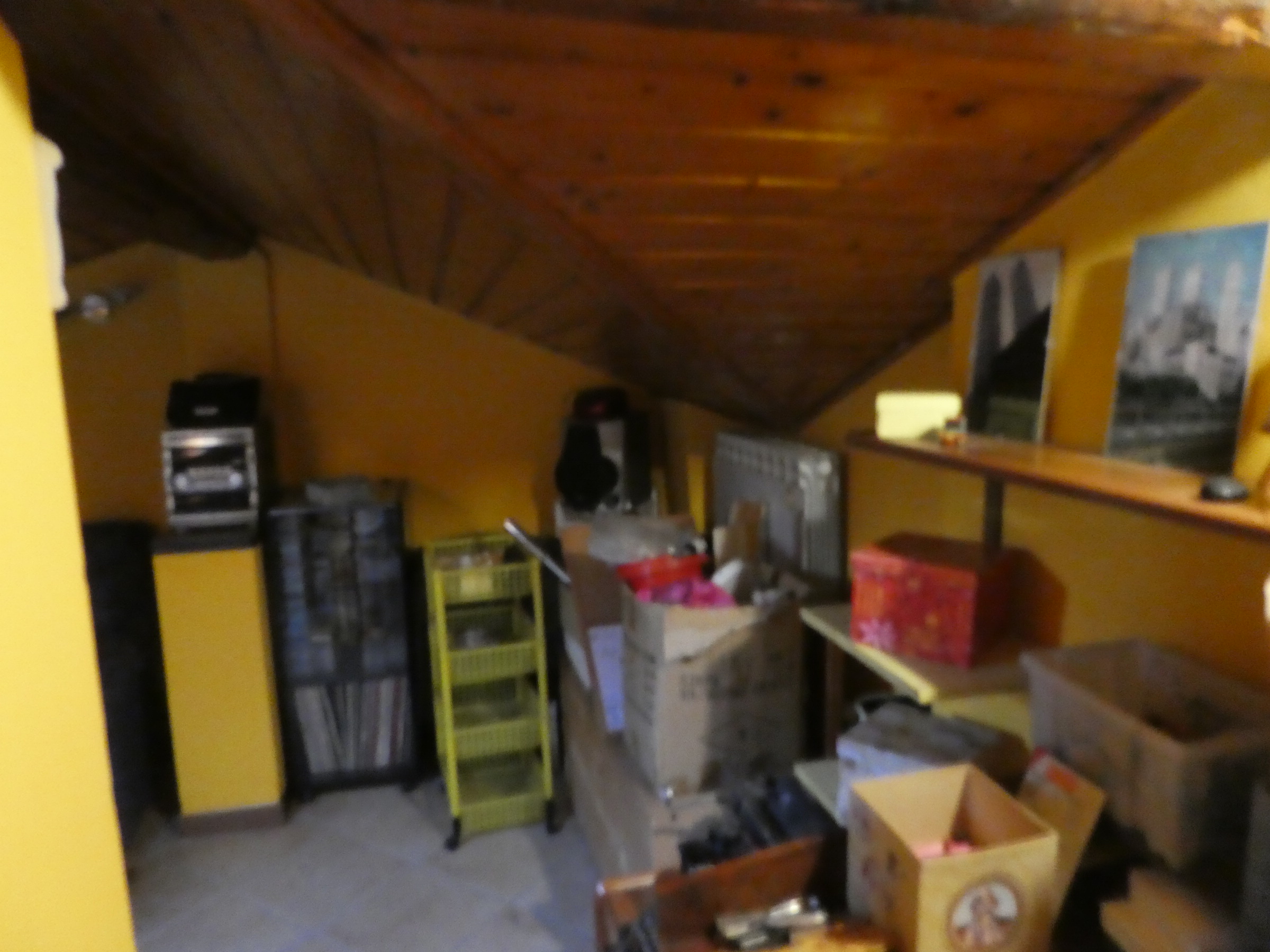 Foto19