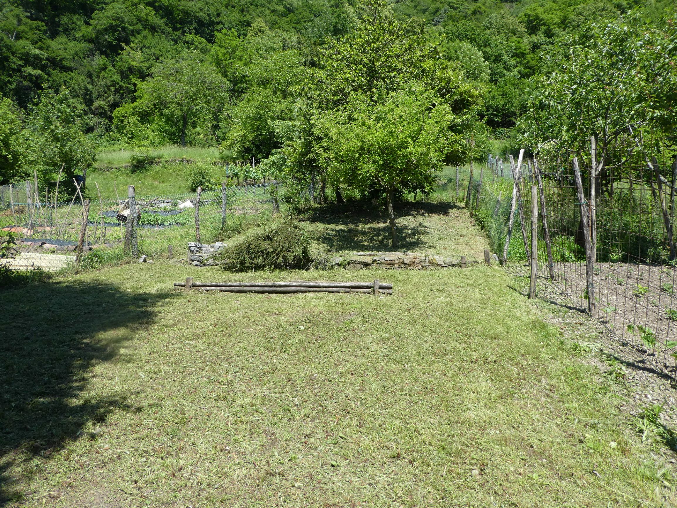 Foto14