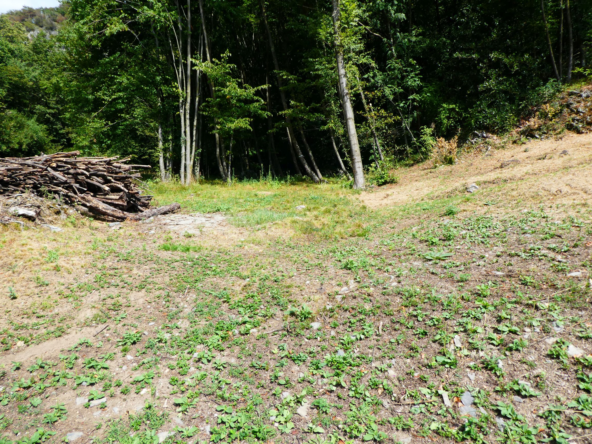 Foto5
